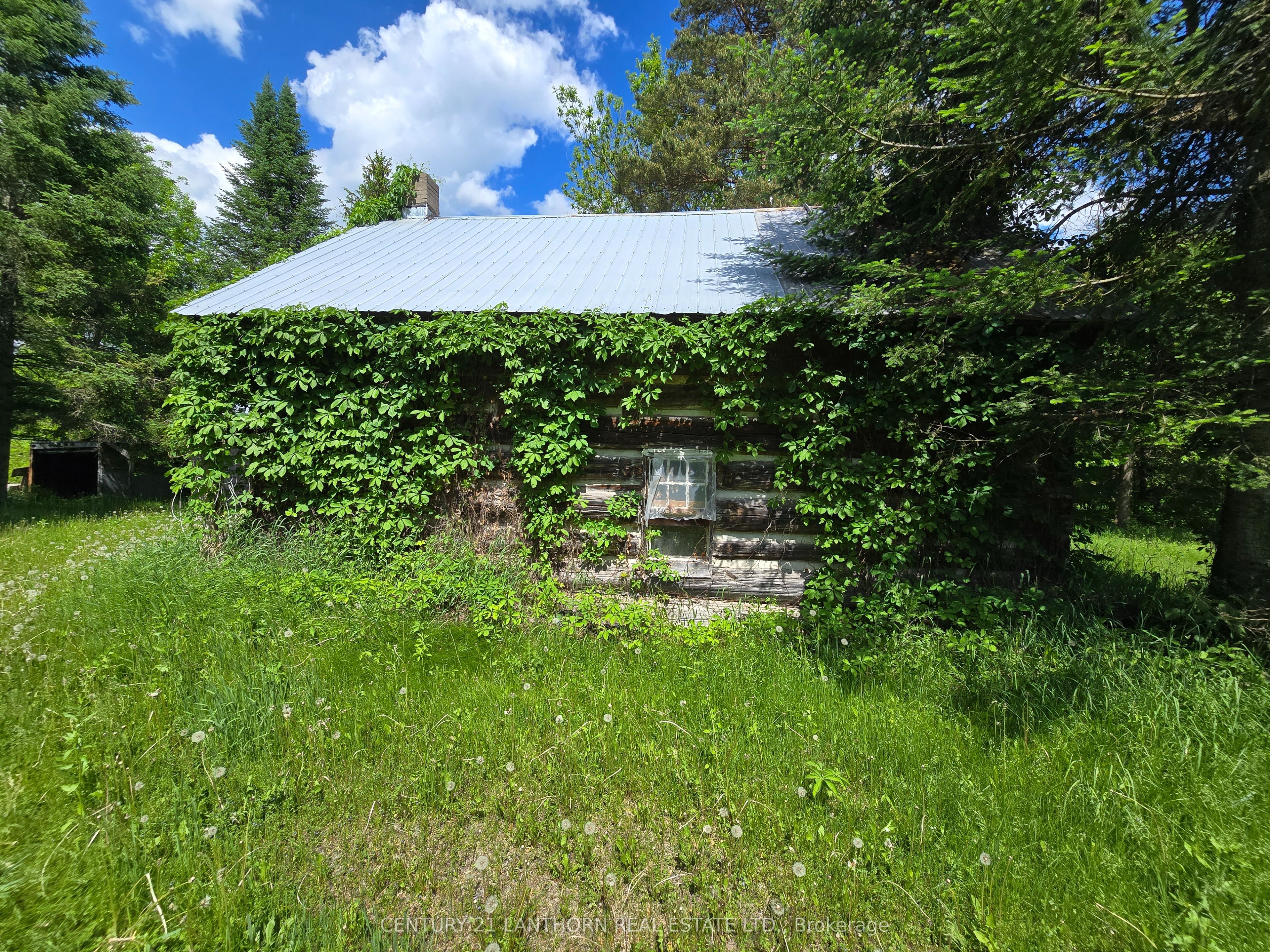 118 Storms Road Property Photo 12