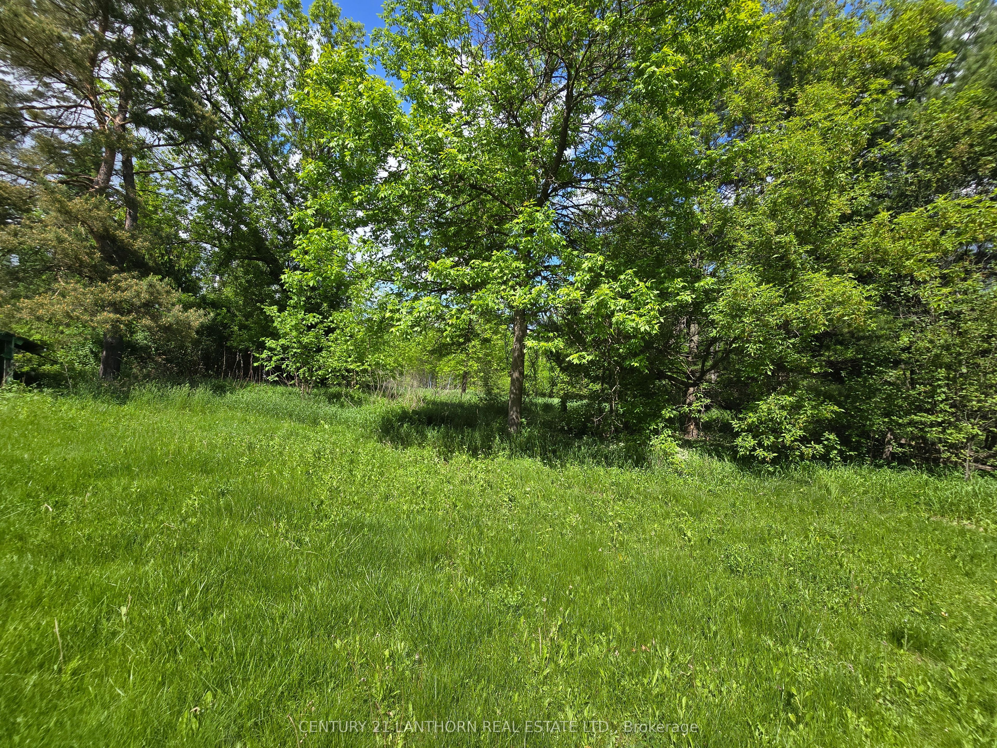 118 Storms Road Property Photo 17