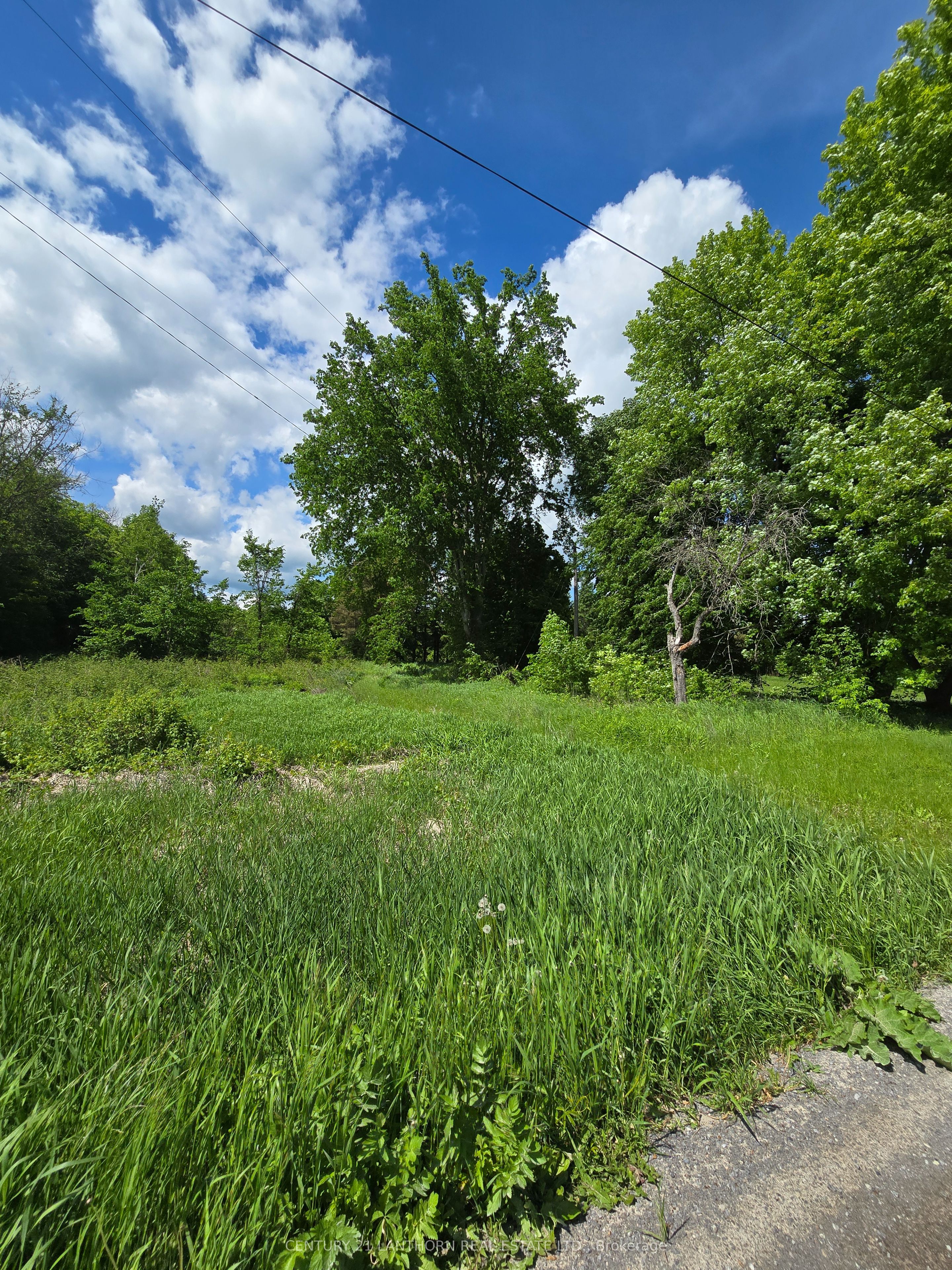 118 Storms Road Property Photo 19
