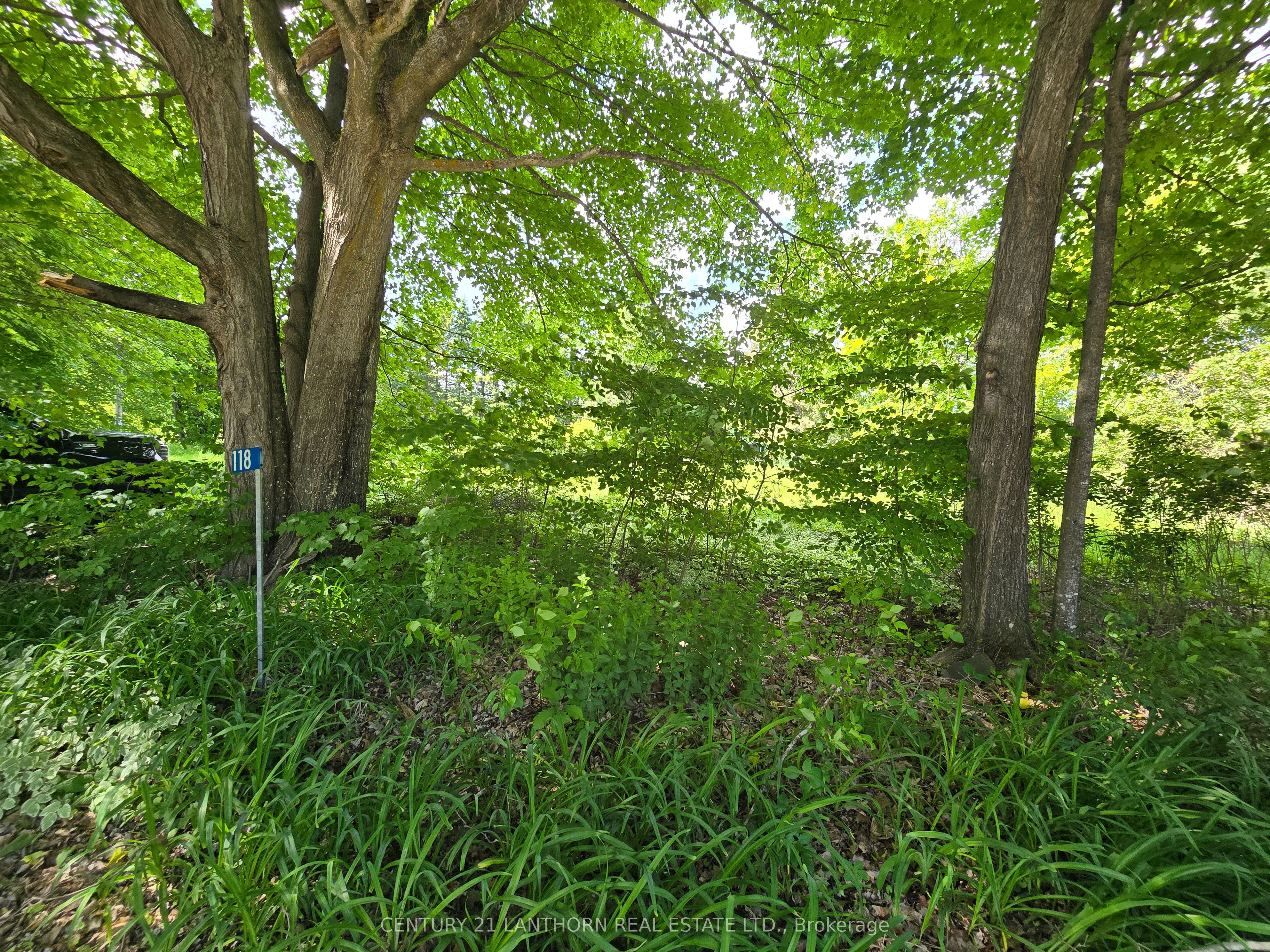 118 Storms Road Property Photo 20