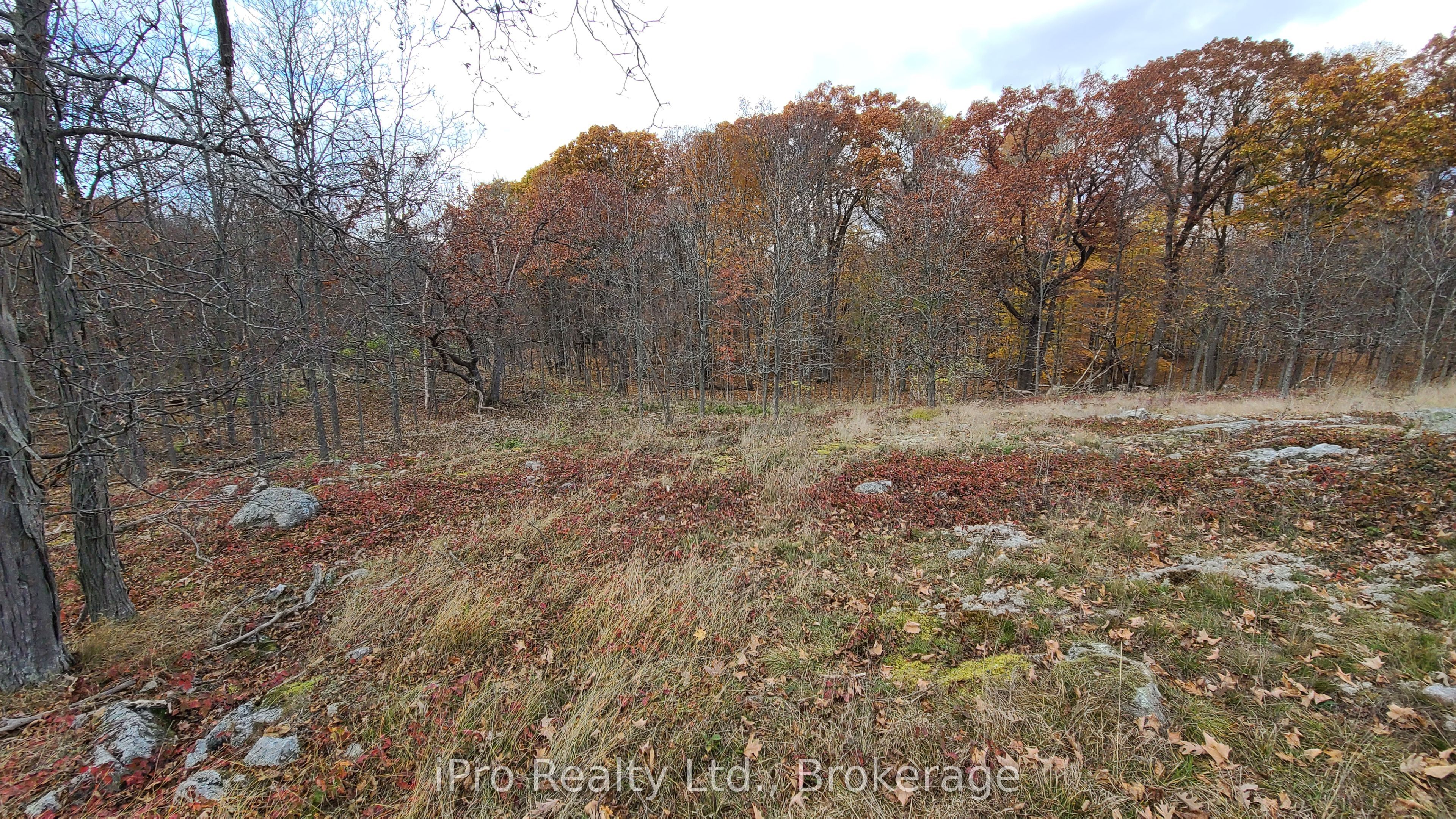124 Fuller Road Property Photo 3