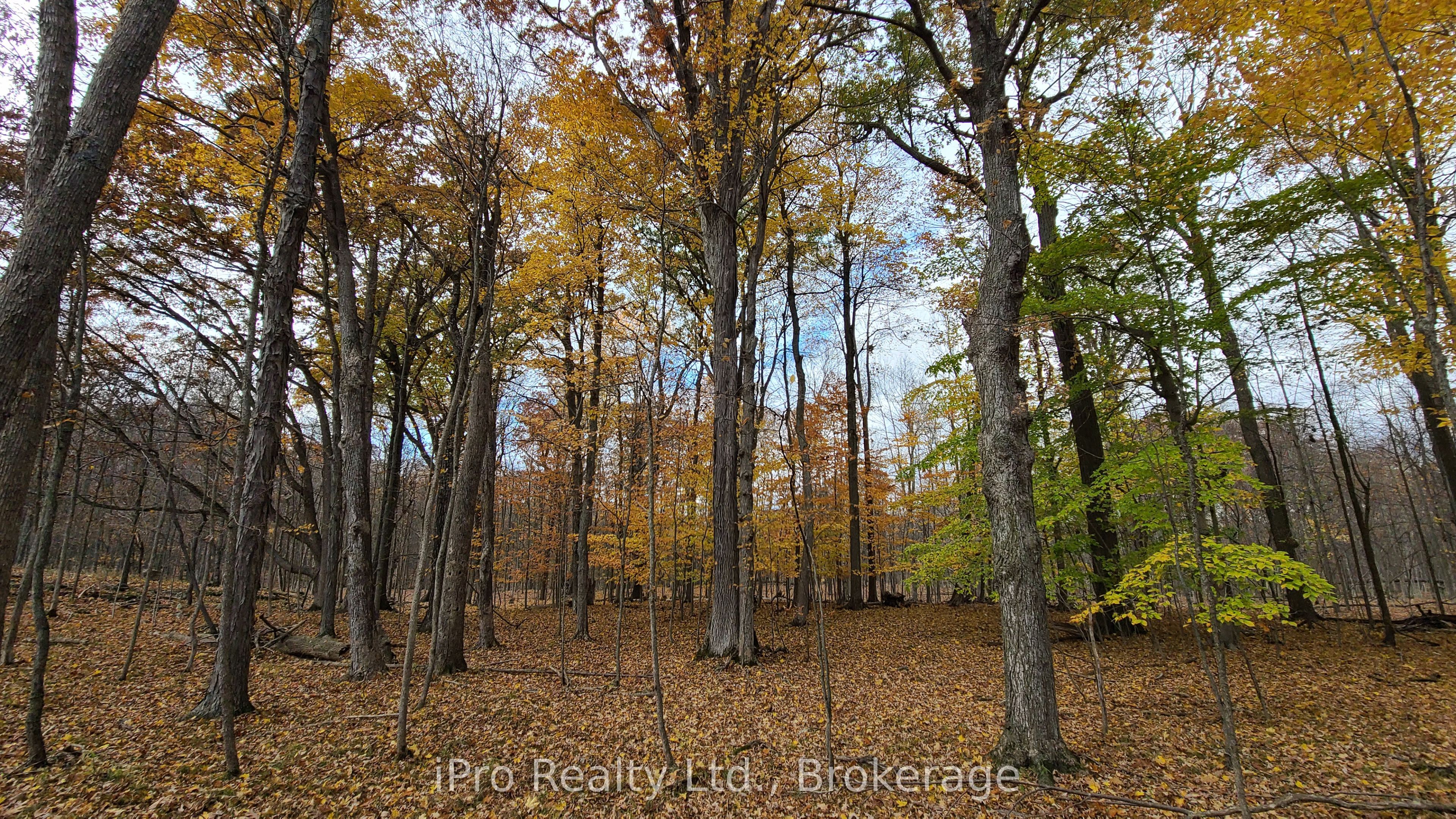 124 Fuller Road Property Photo 5