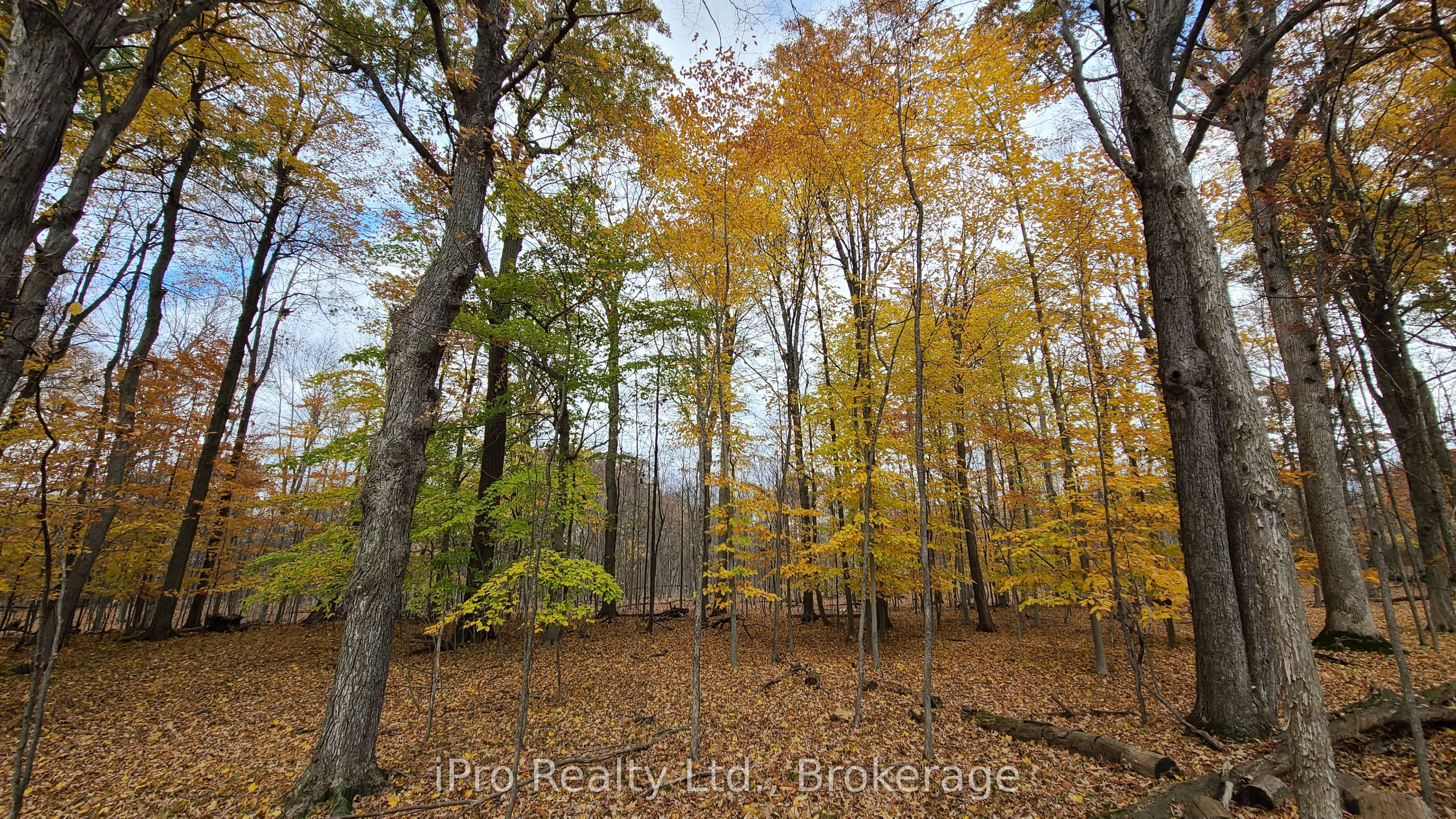 124 Fuller Road Property Photo 6