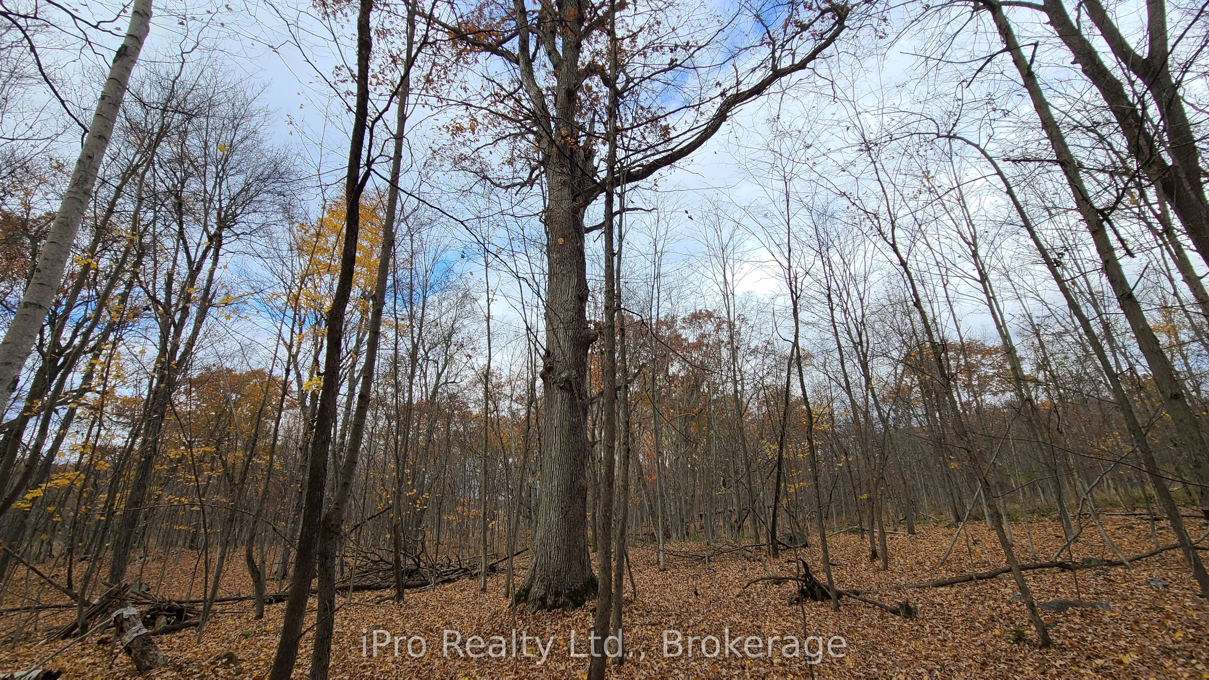 124 Fuller Road Property Photo 8