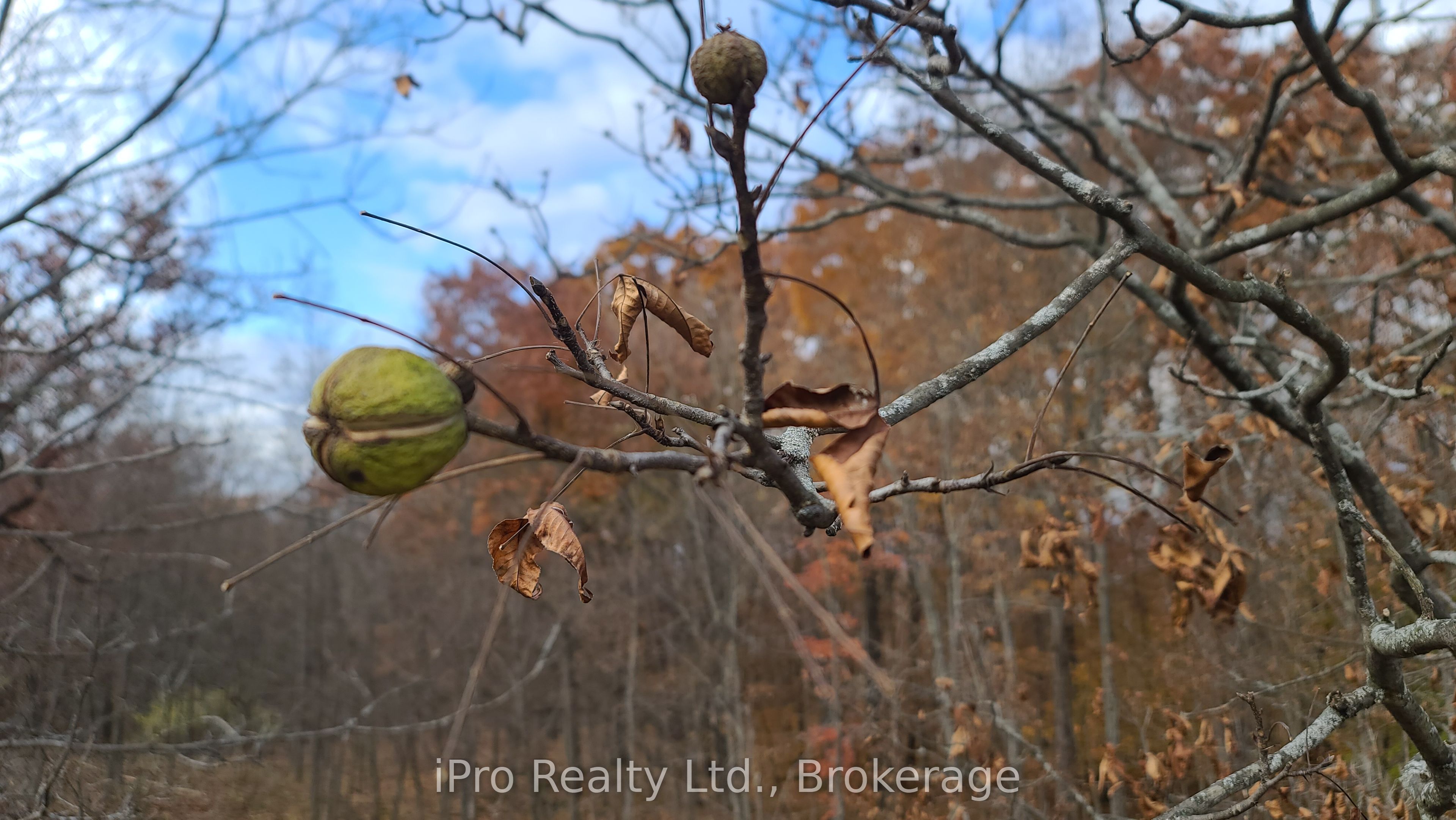 124 Fuller Road Property Photo 10