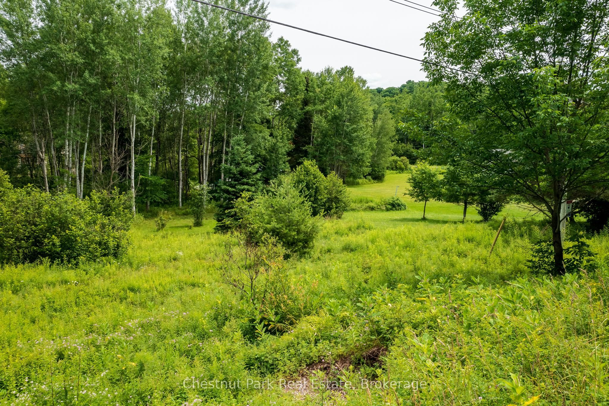 17 Vernon Lane Property Photo 5