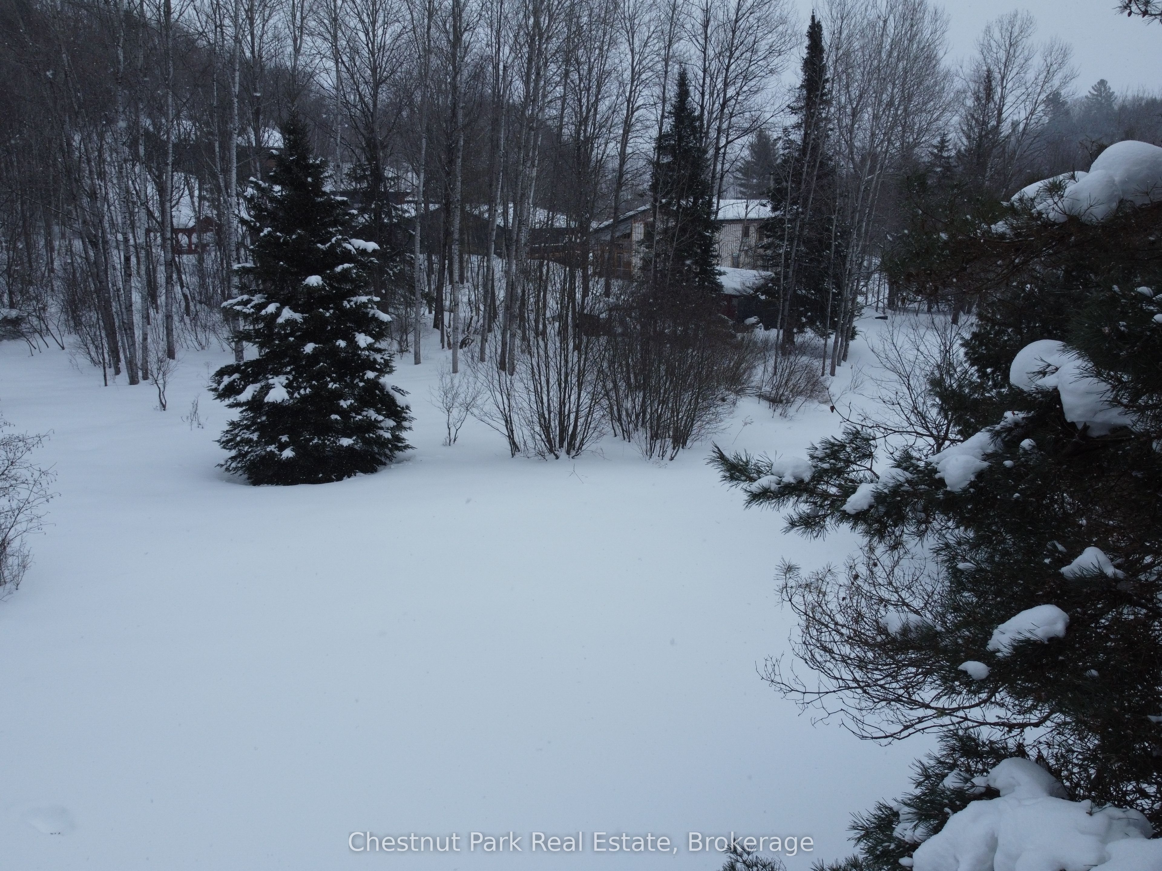 17 Vernon Lane Property Photo 9