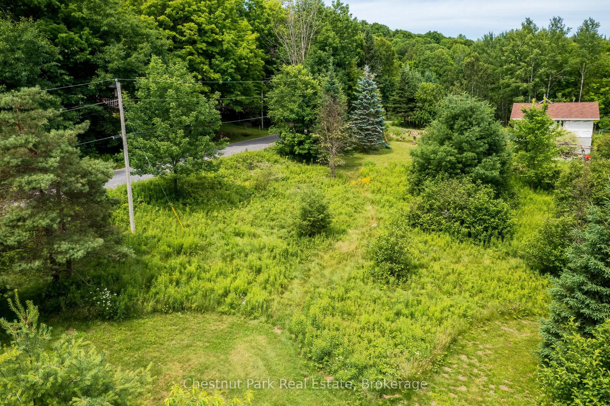17 Vernon Lane Property Photo 17