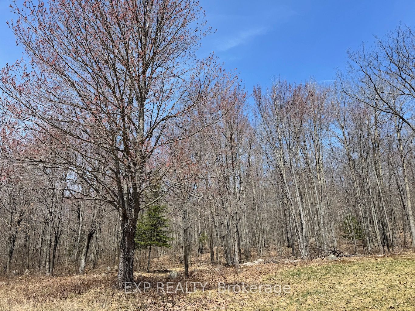 110 Horshoe Lane Property Photo 2
