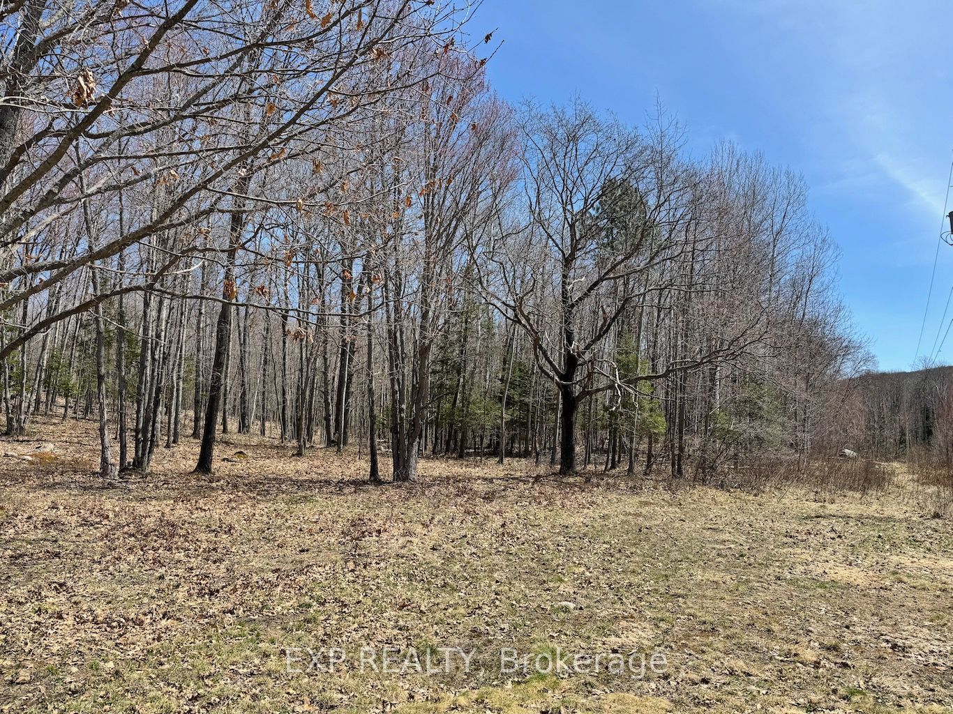 110 Horshoe Lane Property Photo 3