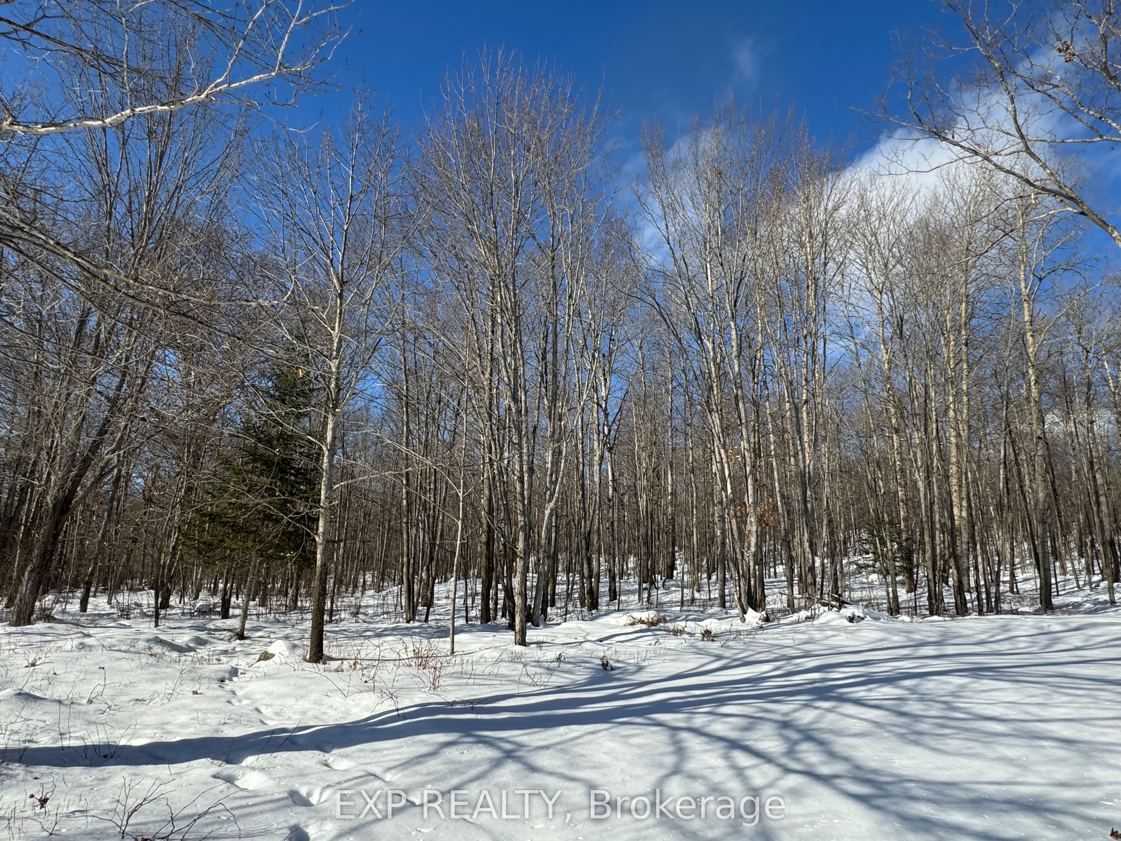 110 Horshoe Lane Property Photo 11