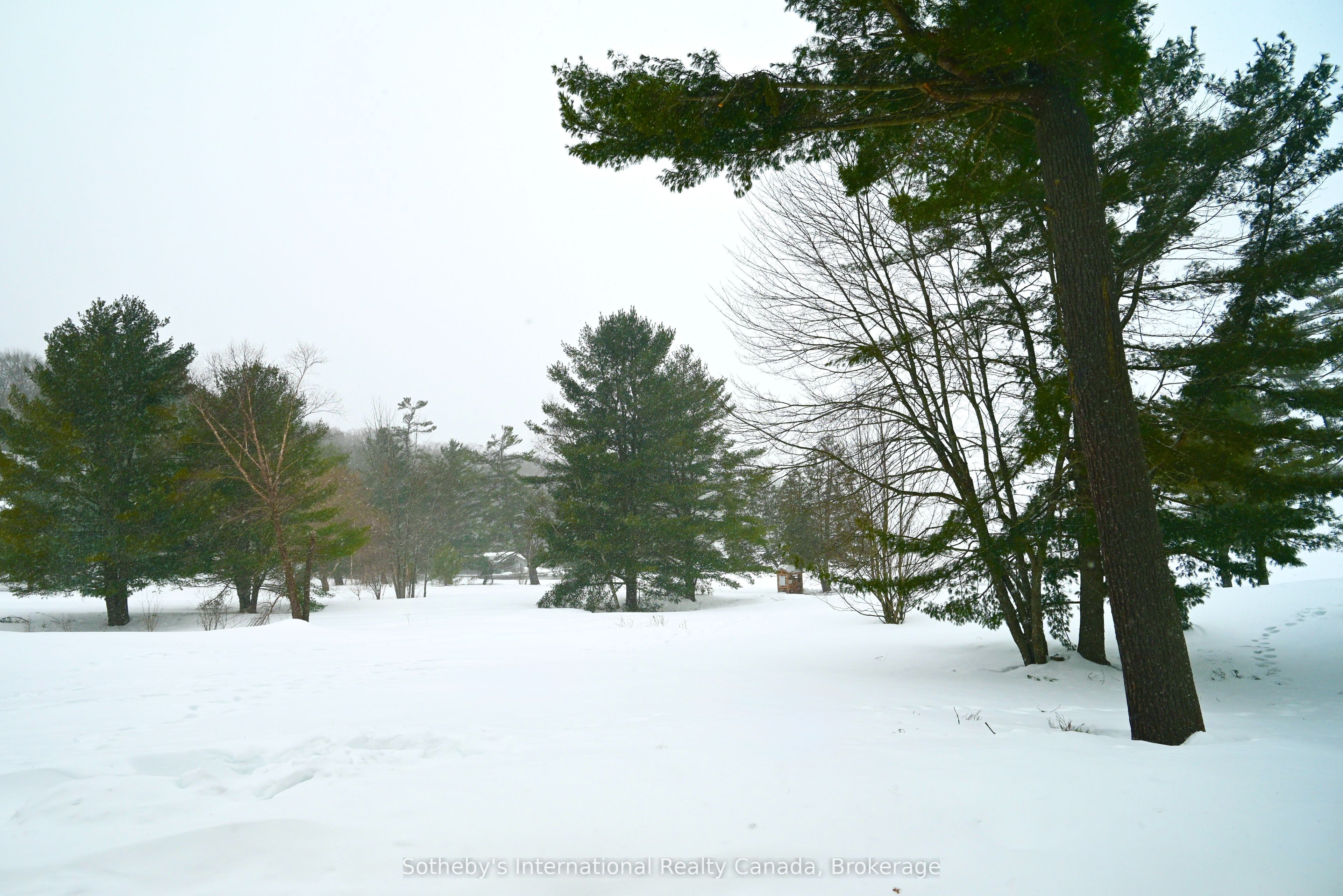 #c4 W9 - 3876 Muskoka Road 118 Road Property Photo 16