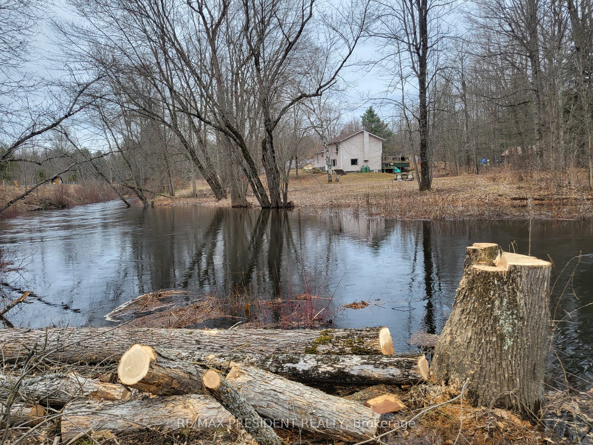 56 Fire Route Property Photo 2