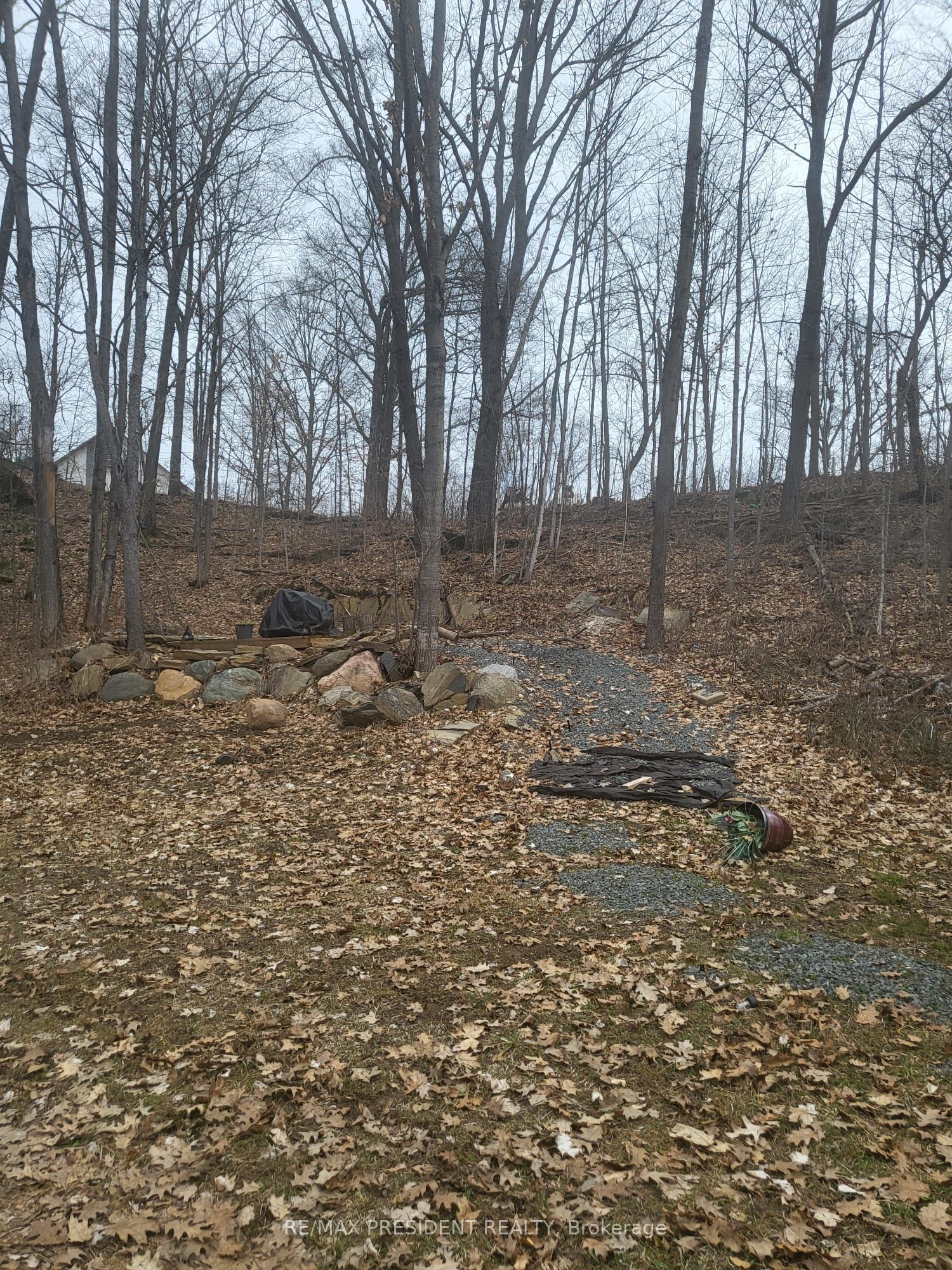 56 Fire Route Property Photo 3