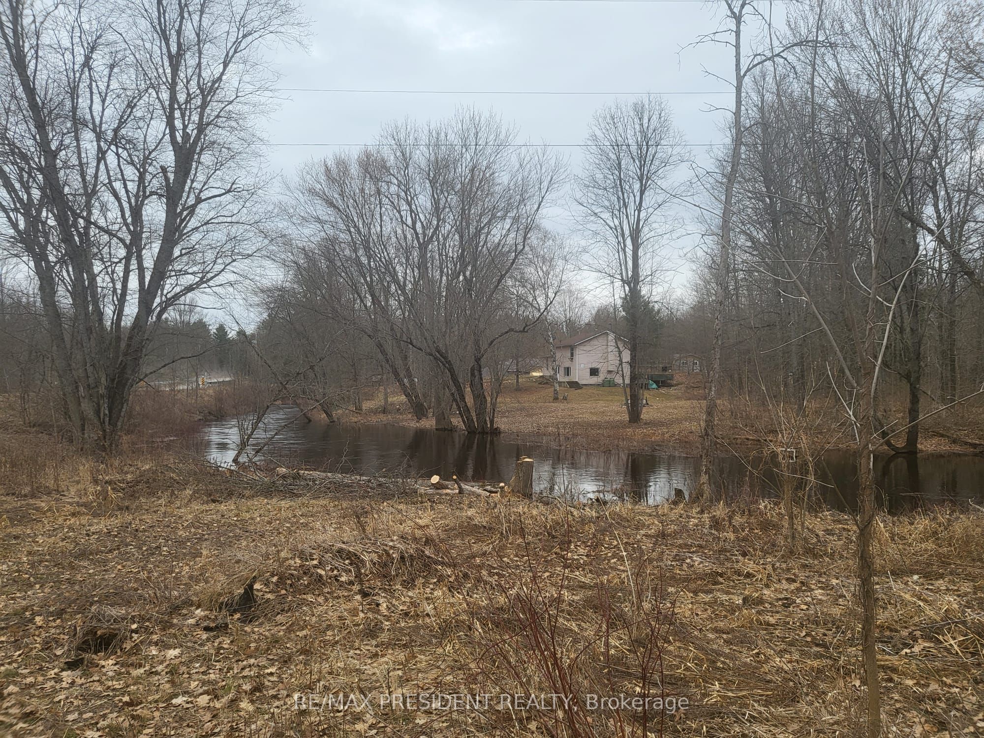 56 Fire Route Property Photo 4