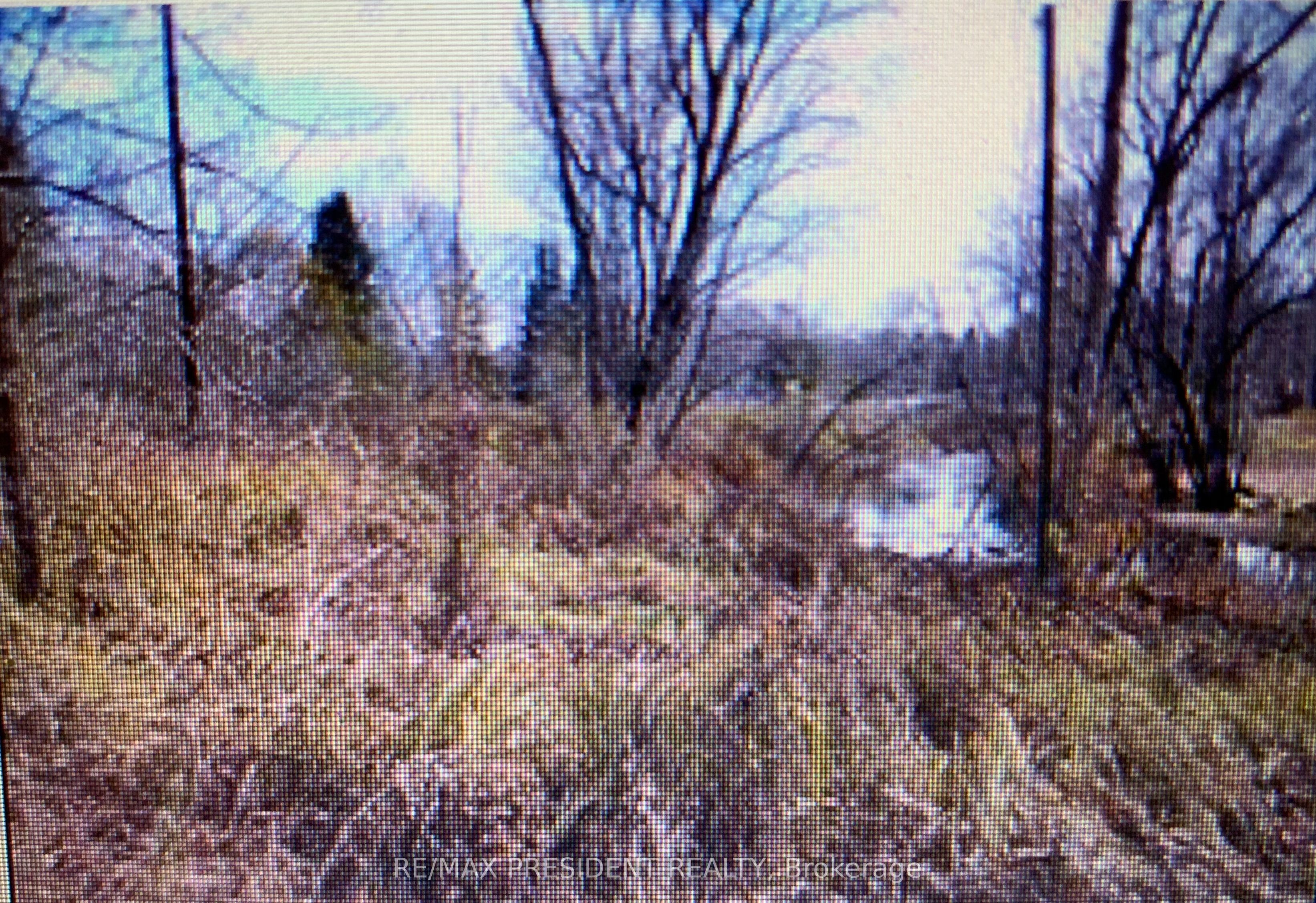 56 Fire Route Property Photo 5