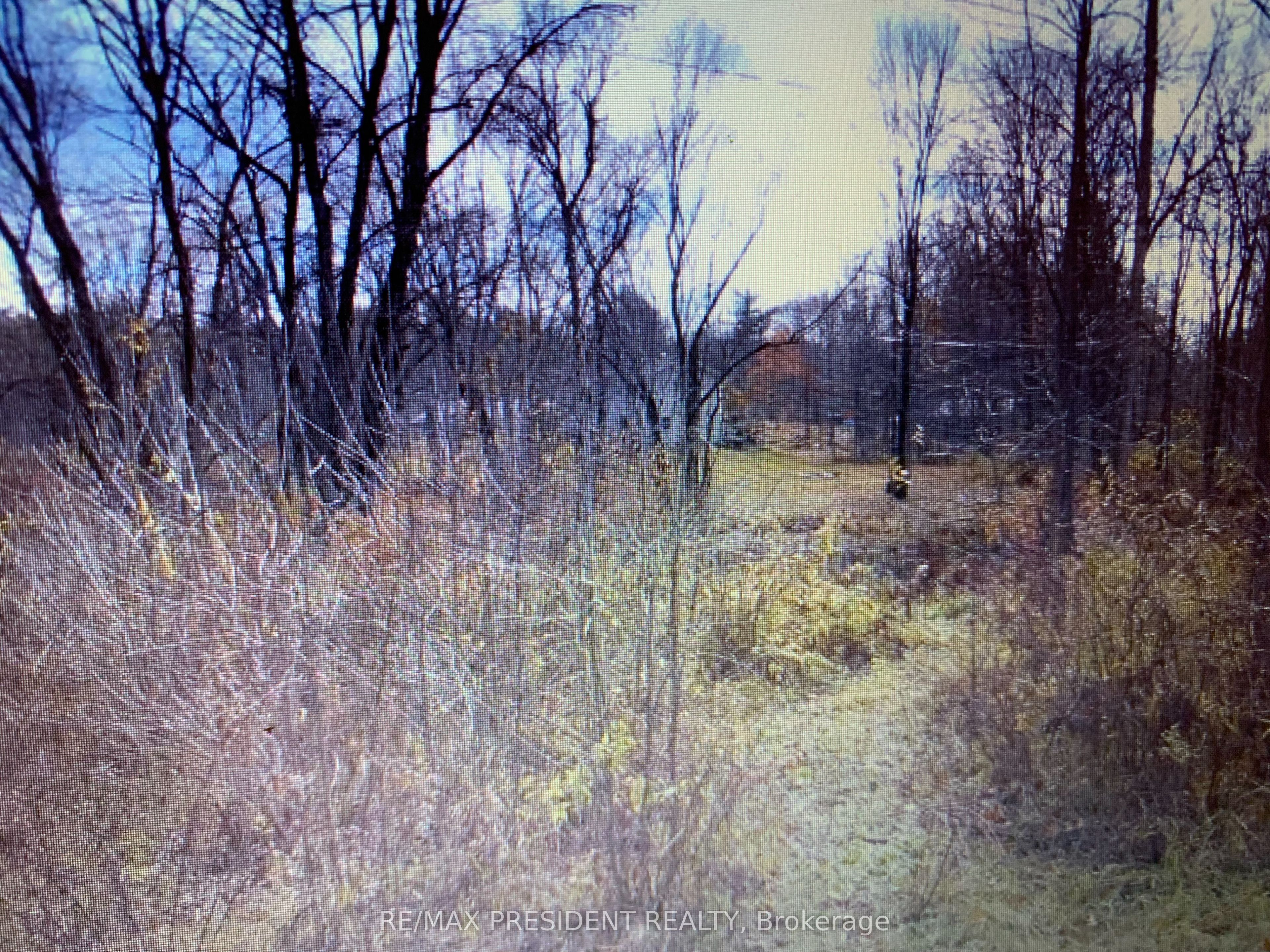 56 Fire Route Property Photo 6