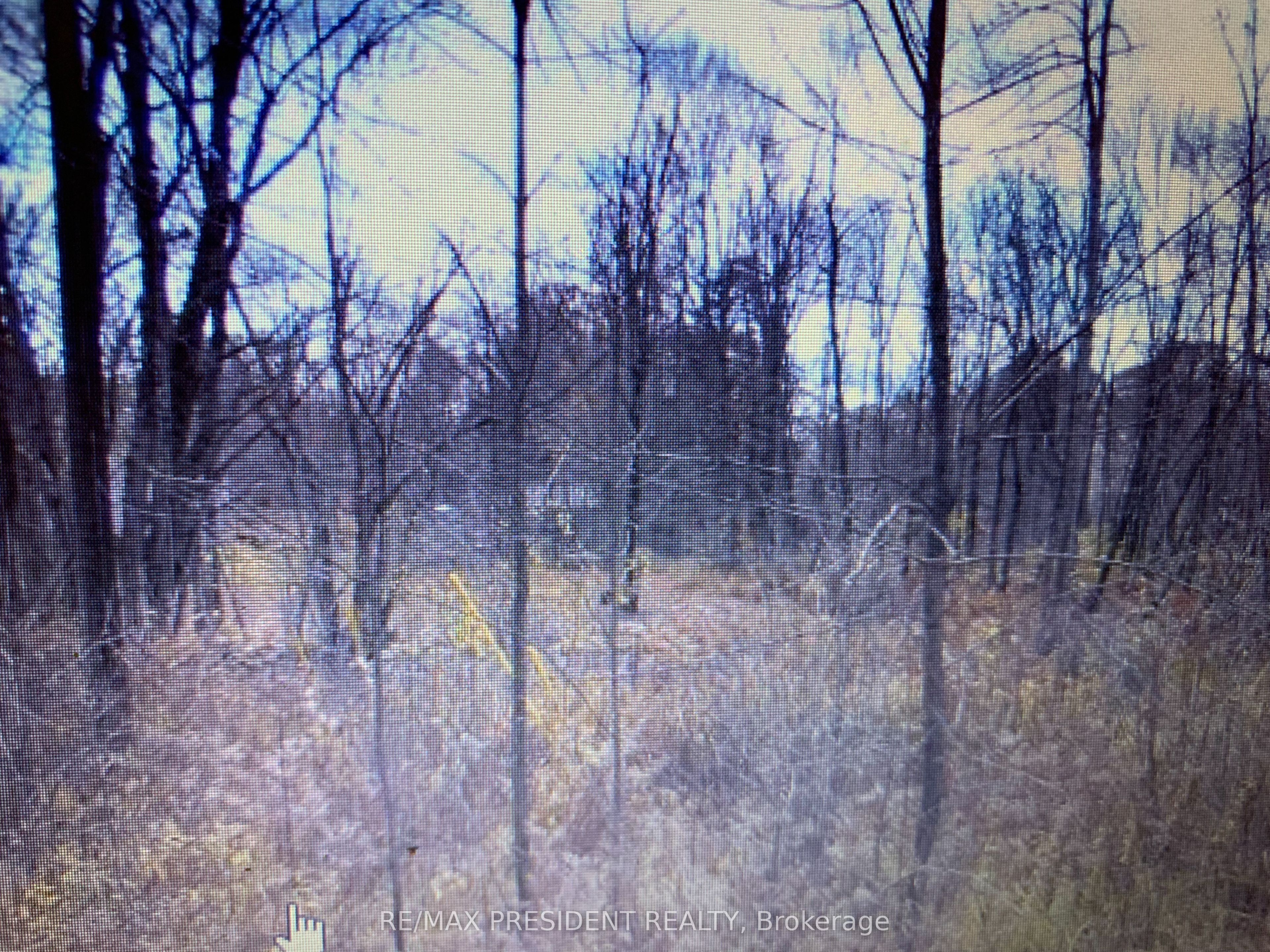 56 Fire Route Property Photo 7
