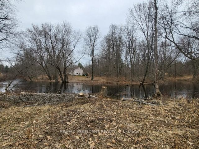 56 Fire Route Property Photo 8