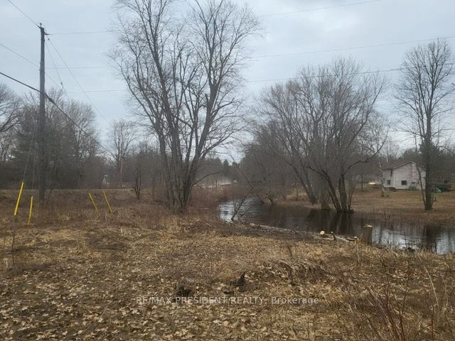 56 Fire Route Property Photo 9
