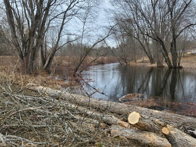 56 Fire Route Property Photo 10