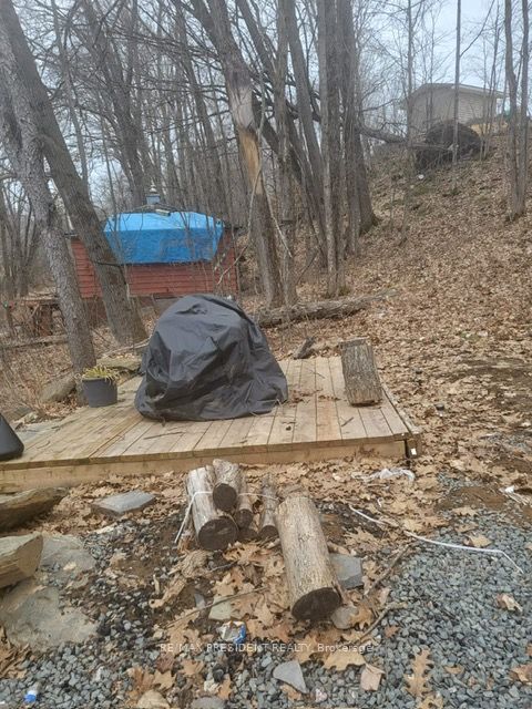 56 Fire Route Property Photo 11