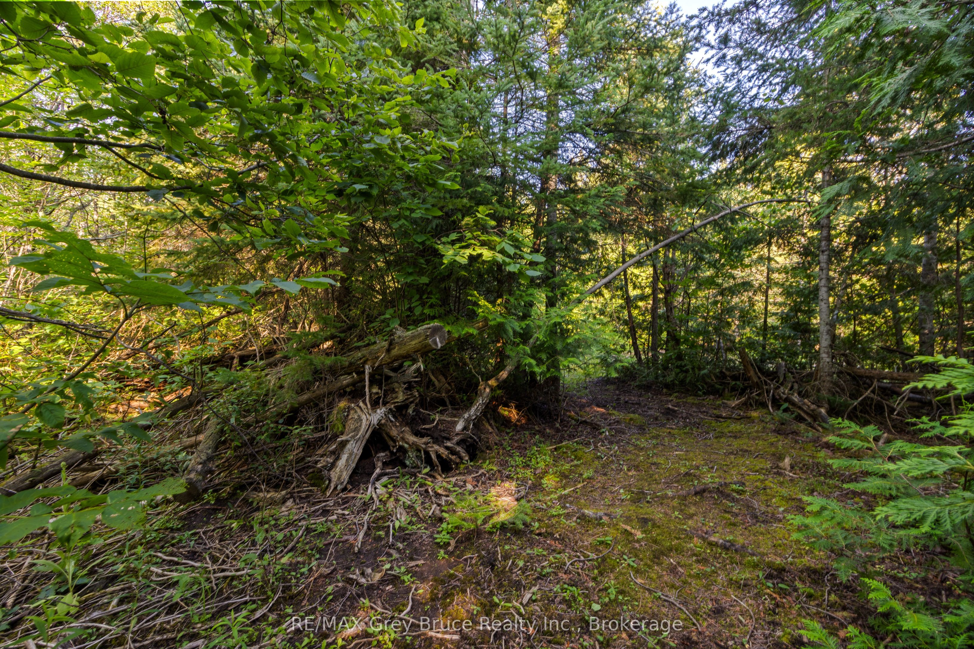 Pt 9/10 Highway 6 Property Photo 15