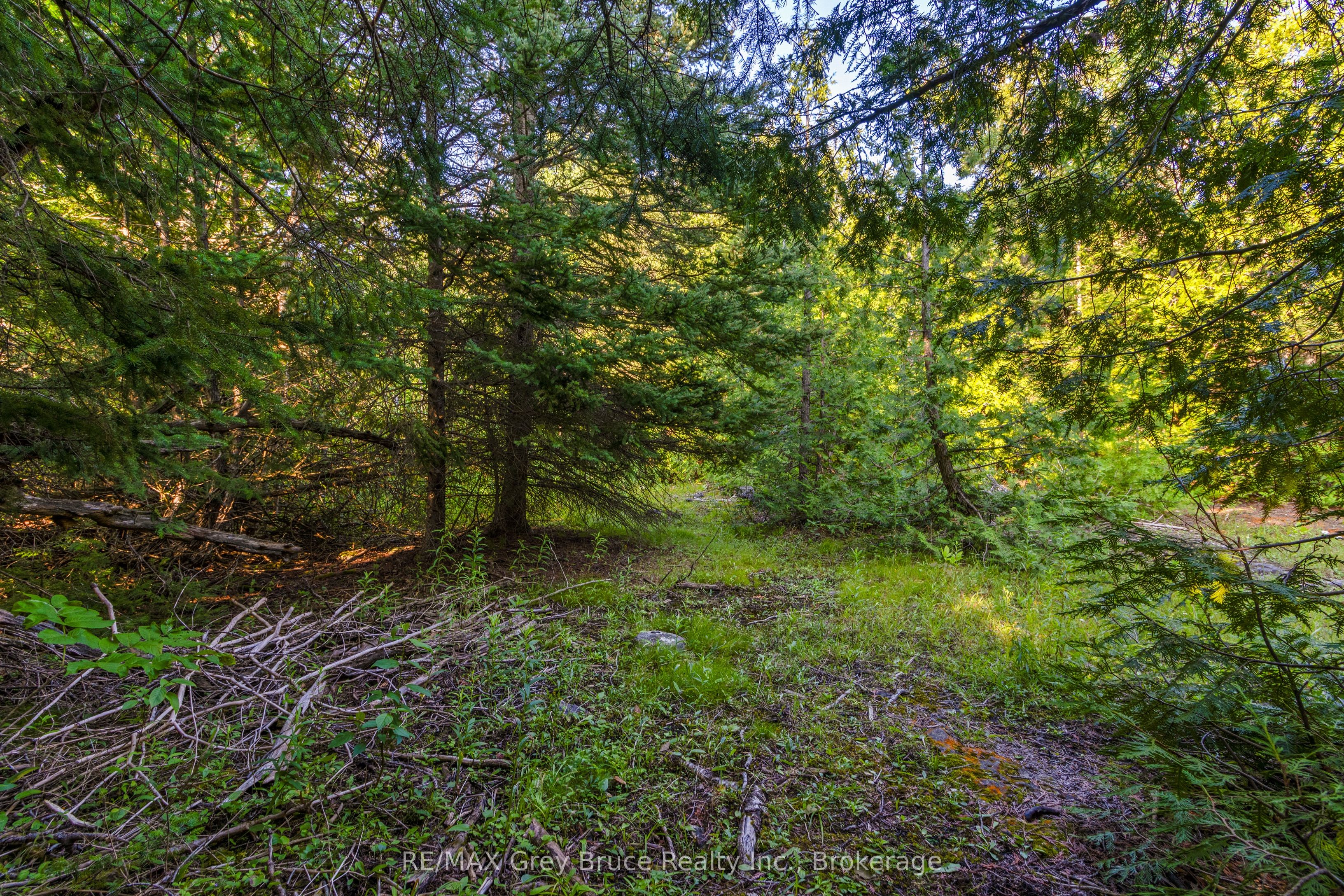 Pt 9/10 Highway 6 Property Photo 16