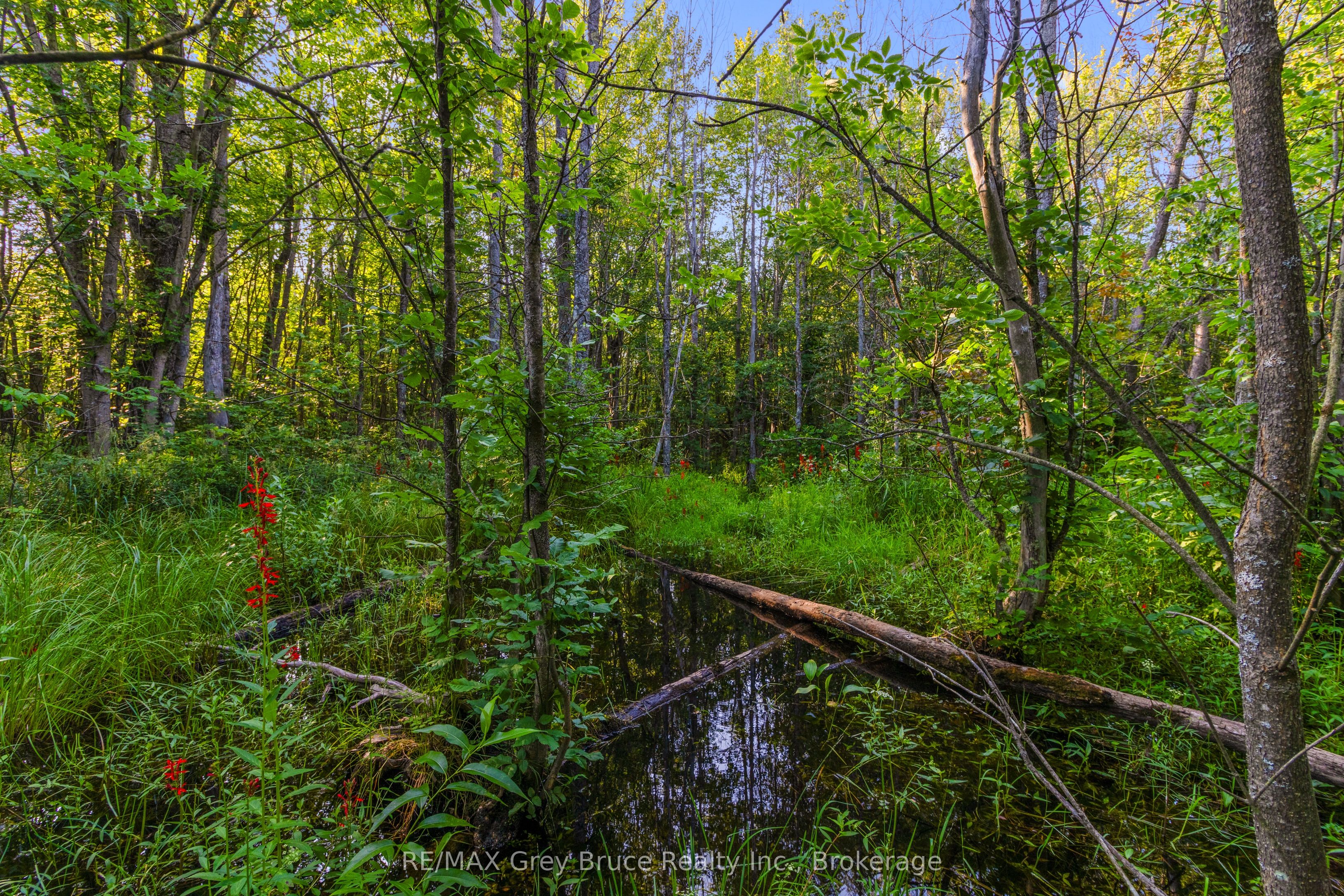 Pt 9/10 Highway 6 Property Photo 18