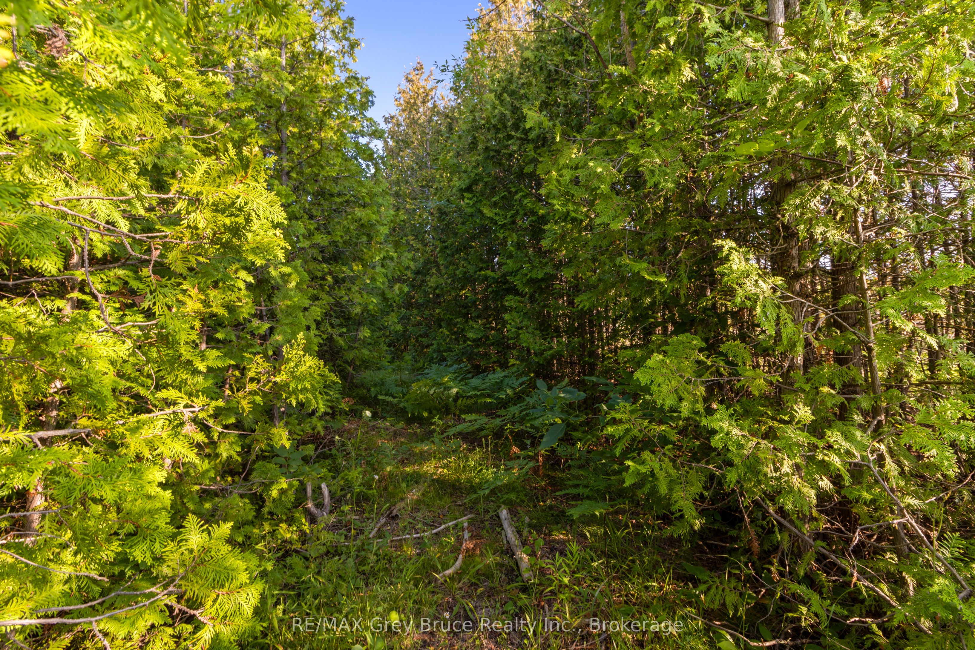 Pt 9/10 Highway 6 Property Photo 22