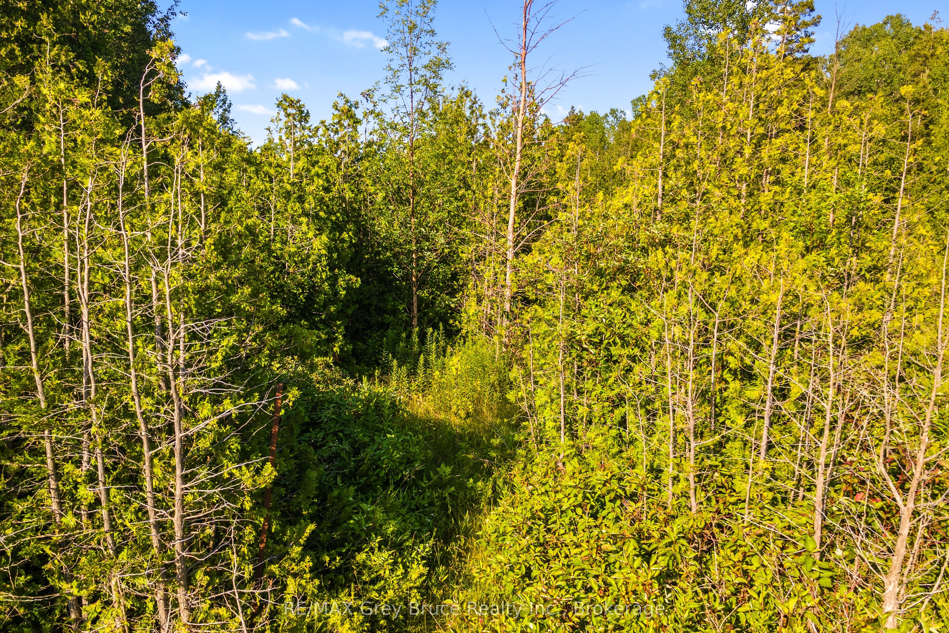 Part 10 Highway 6 Property Photo 5