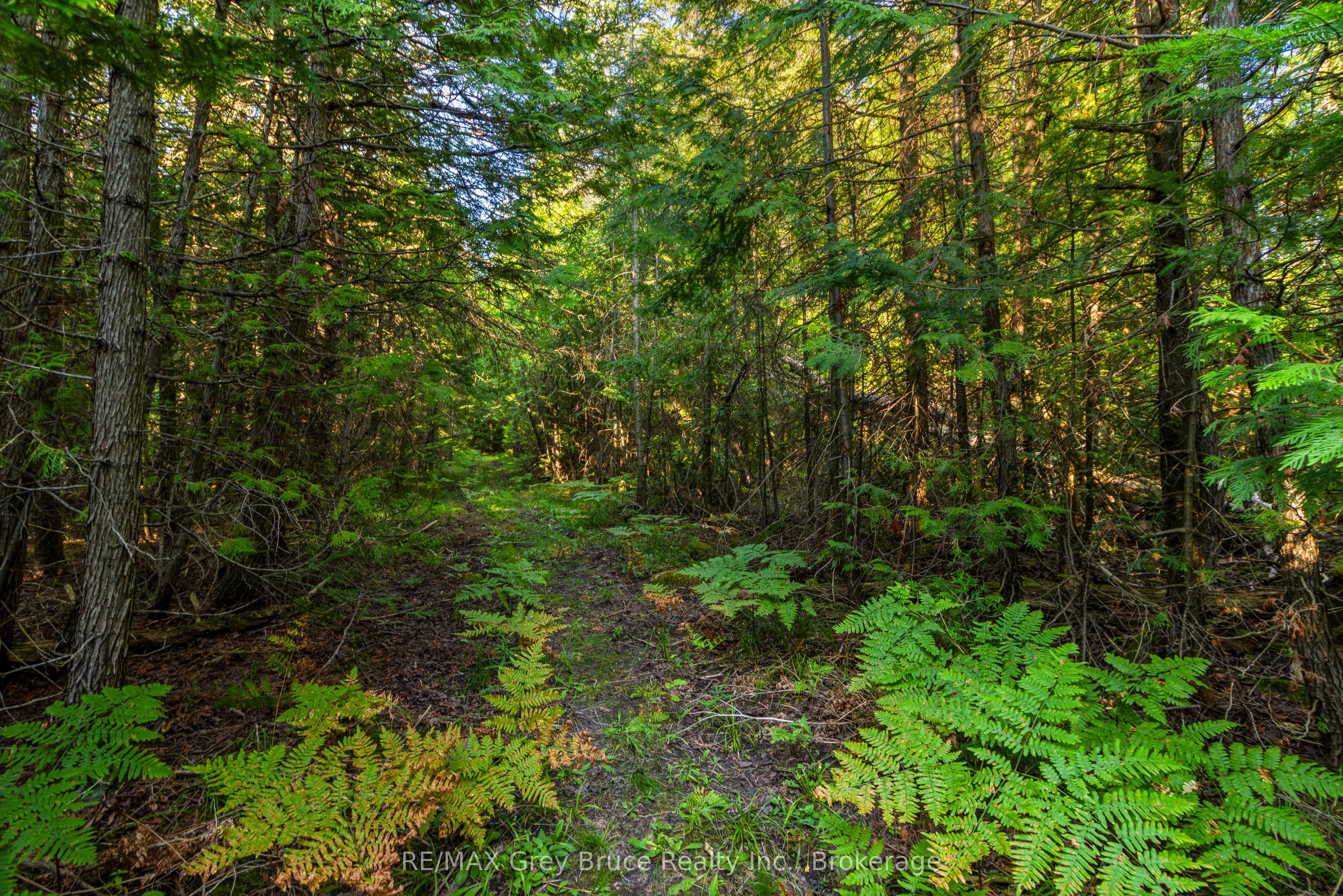 Part 10 Highway 6 Property Photo 20