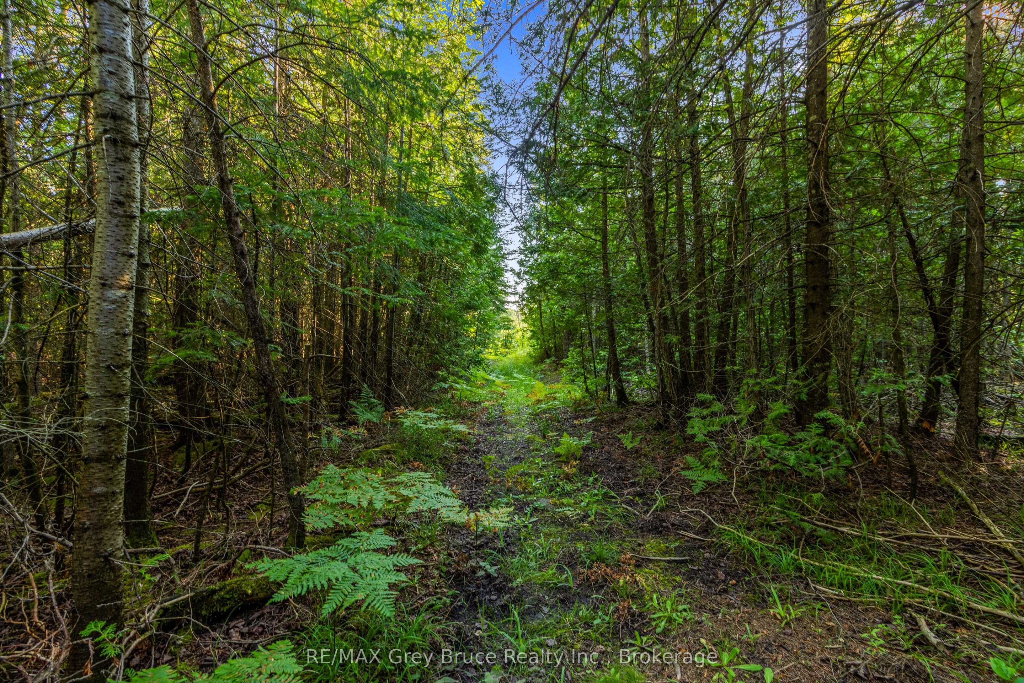 Part 10 Highway 6 Property Photo 21