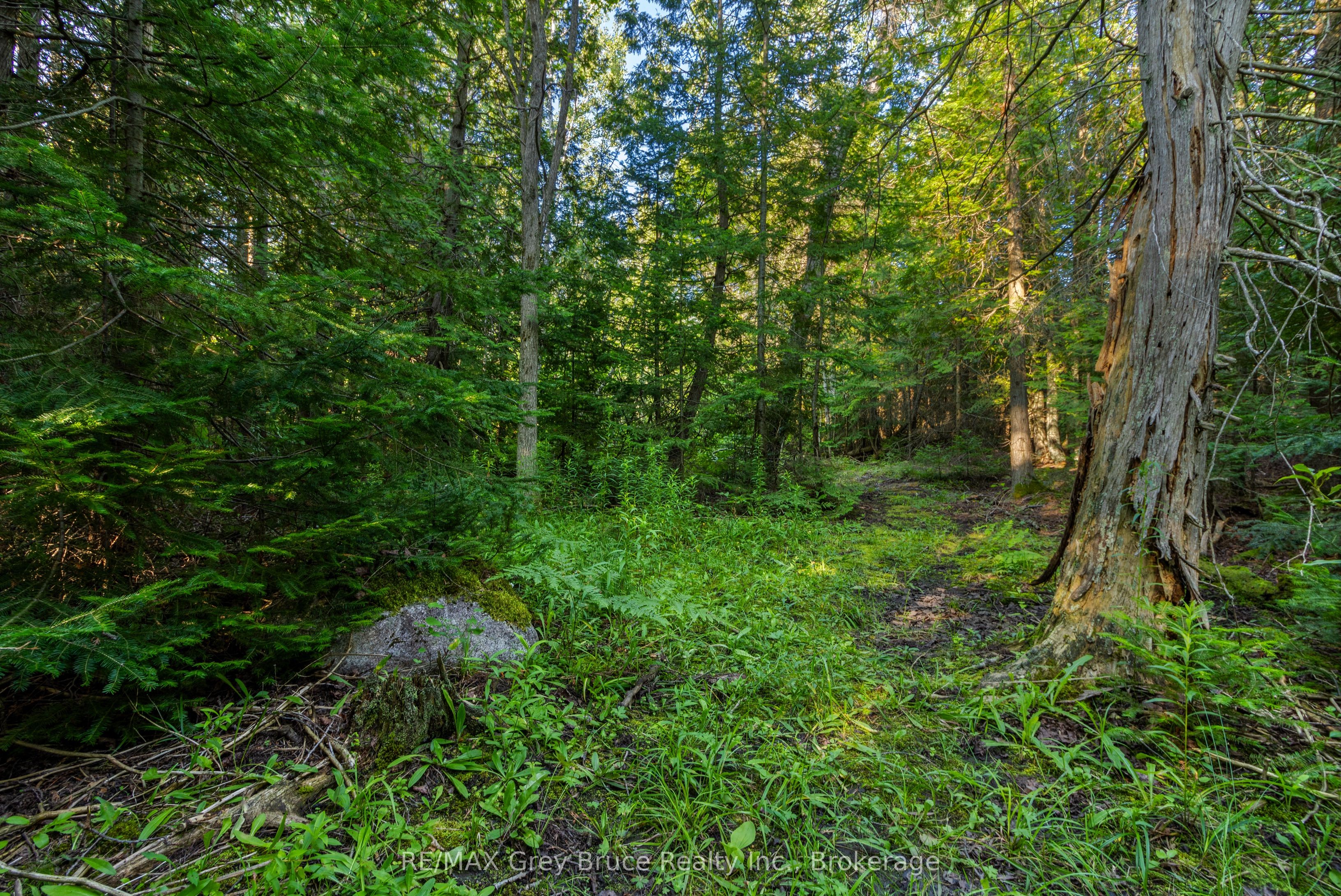 Part 10 Highway 6 Property Photo 23