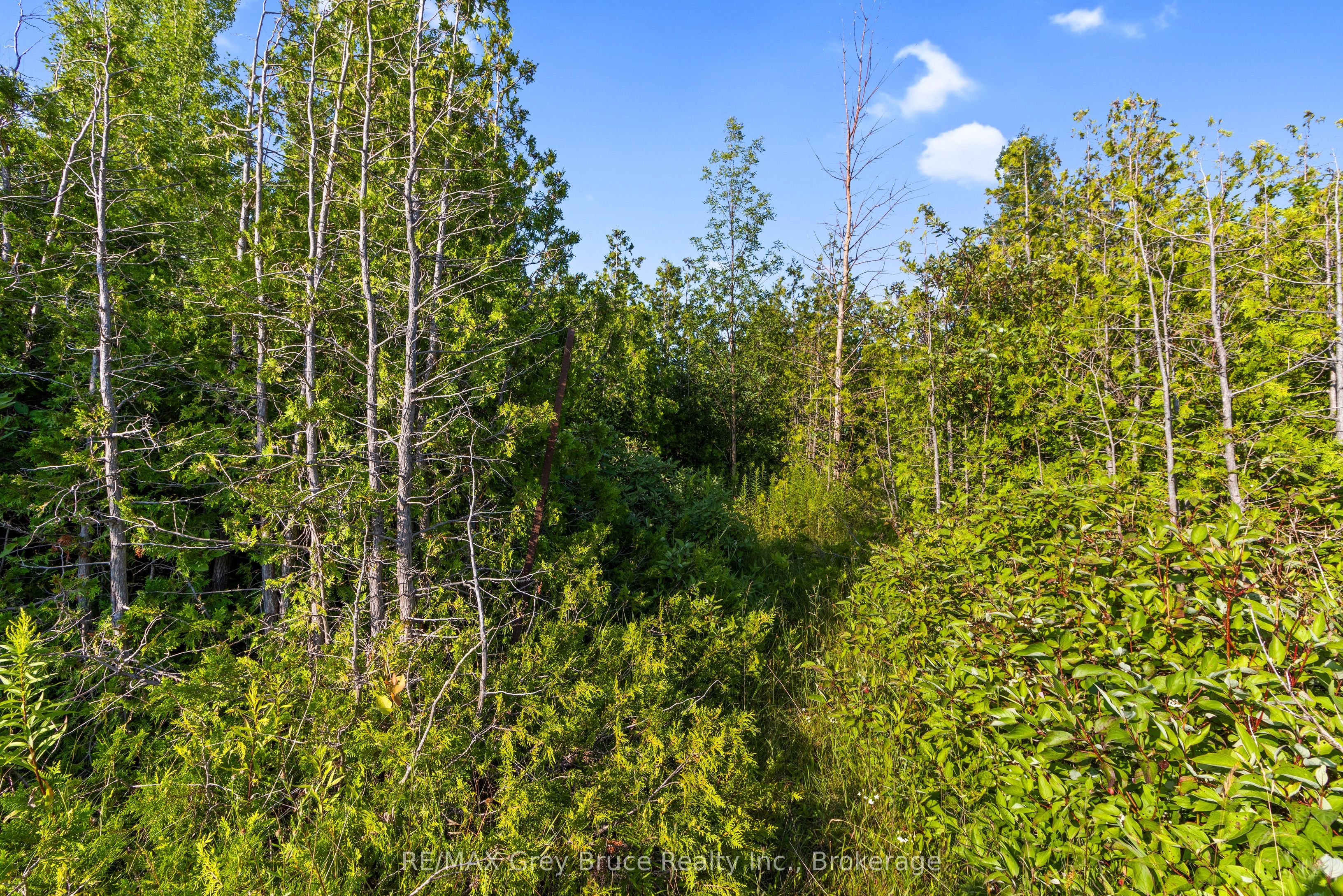 Part 10 Highway 6 Property Photo 25