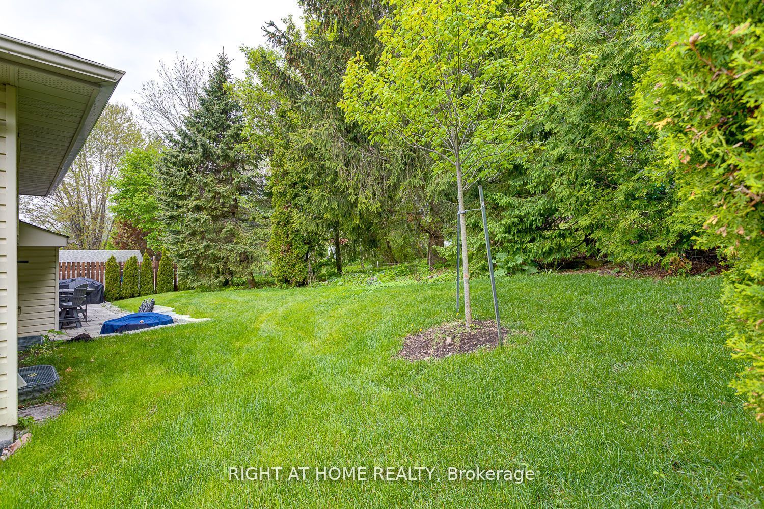 41 Janlisda Drive Property Photo 29