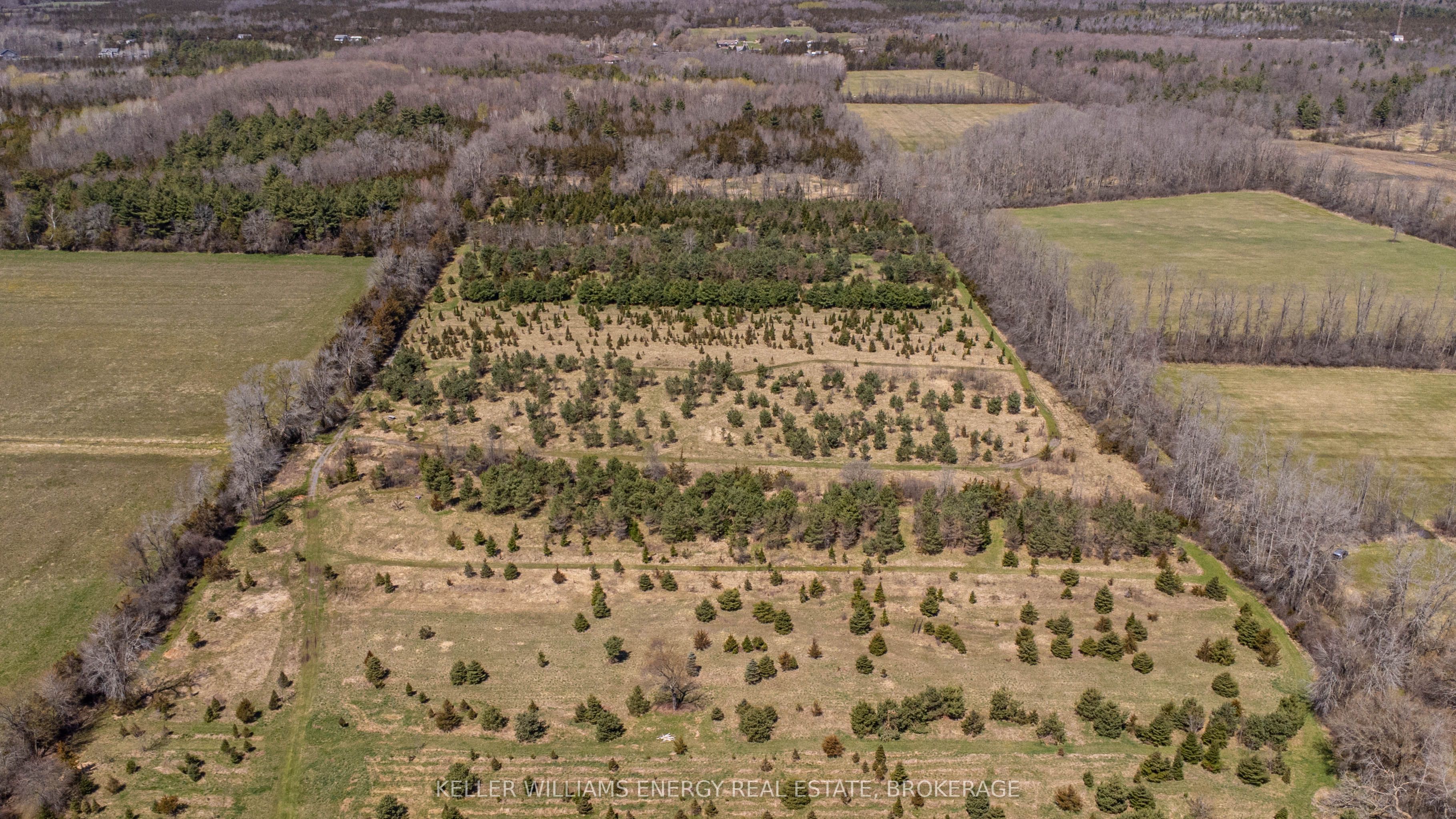7685 County 2 Road Property Photo 20