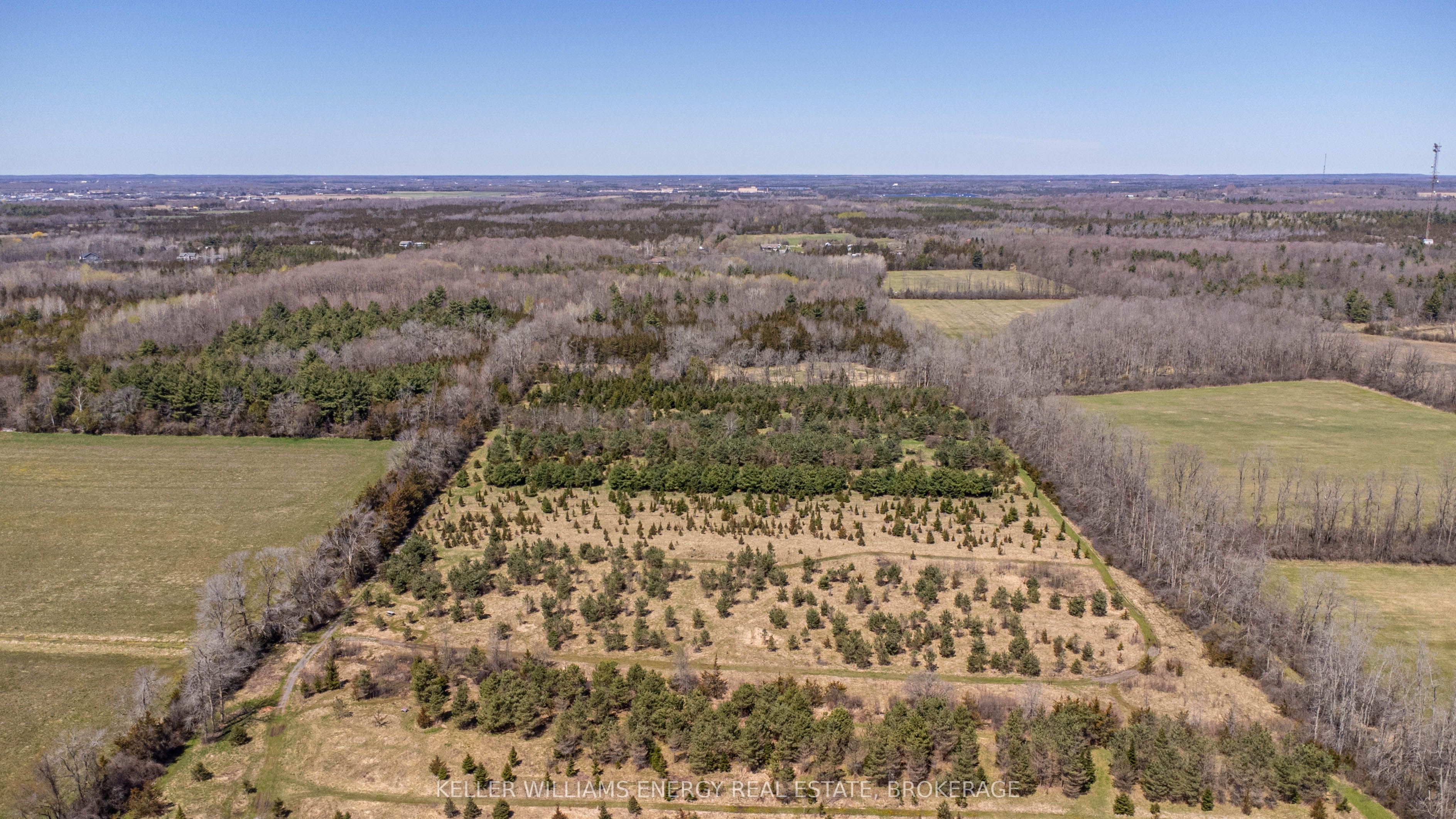 7685 County 2 Road Property Photo 21