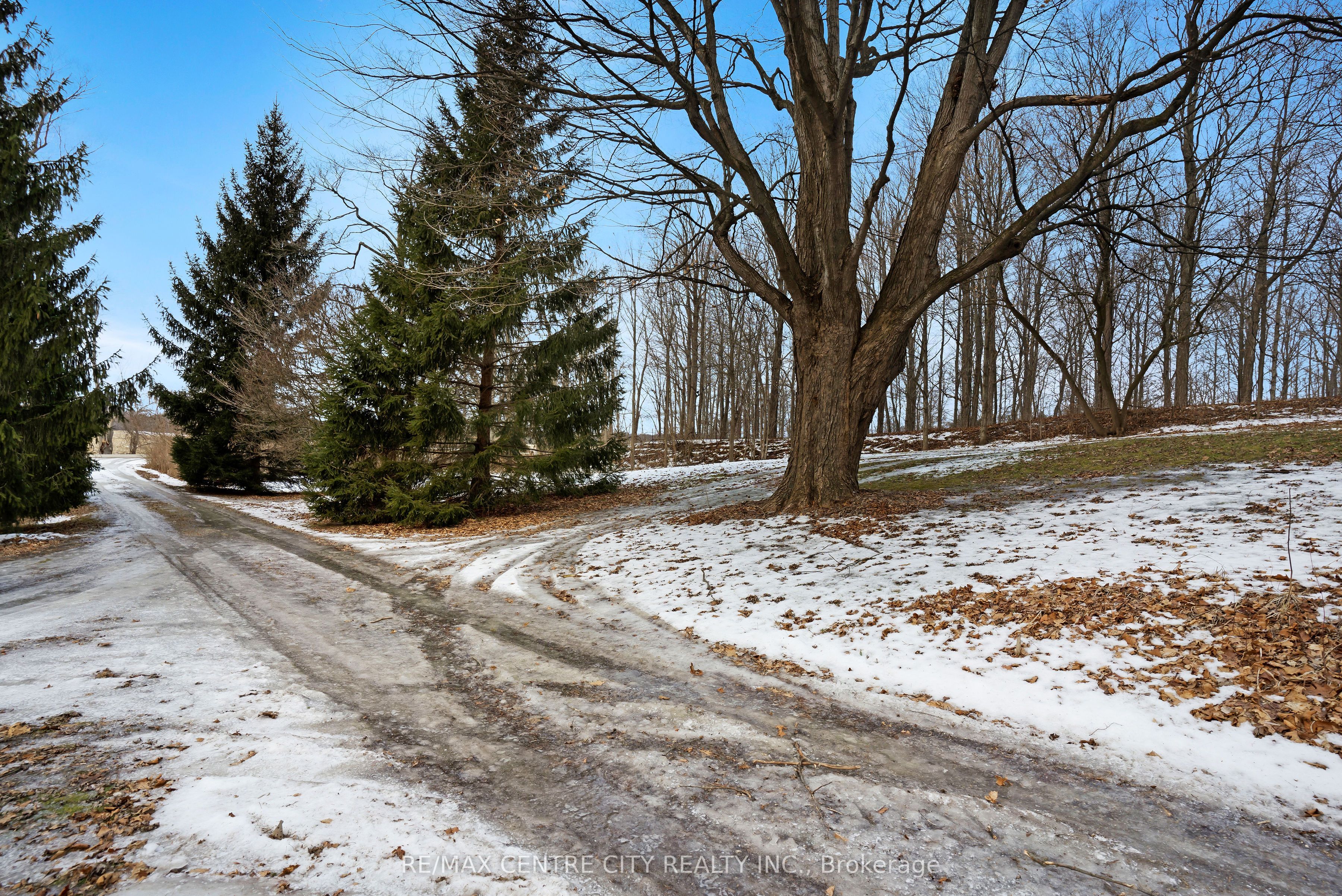 33875 Fifth Line Property Photo 11