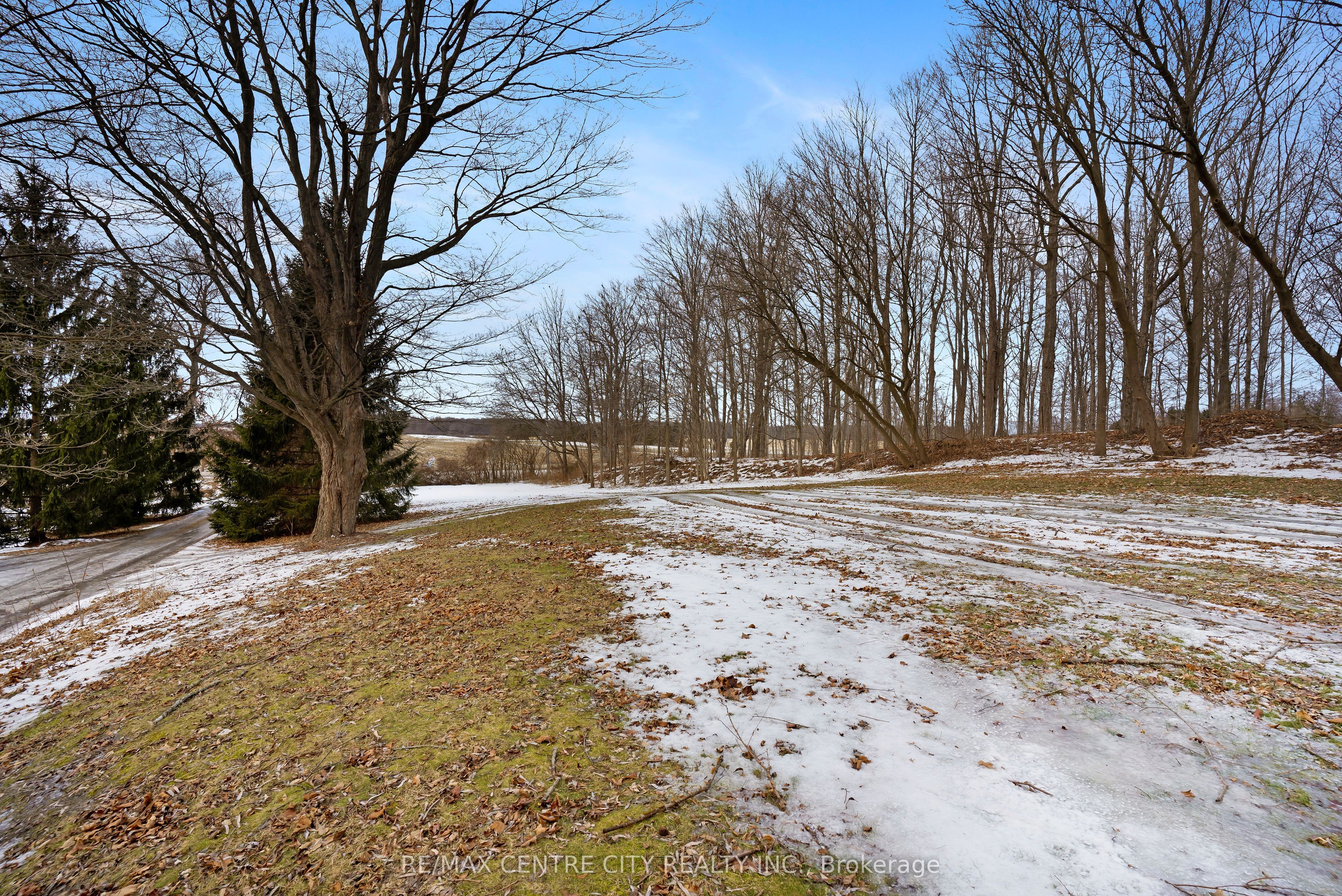 33875 Fifth Line Property Photo 12