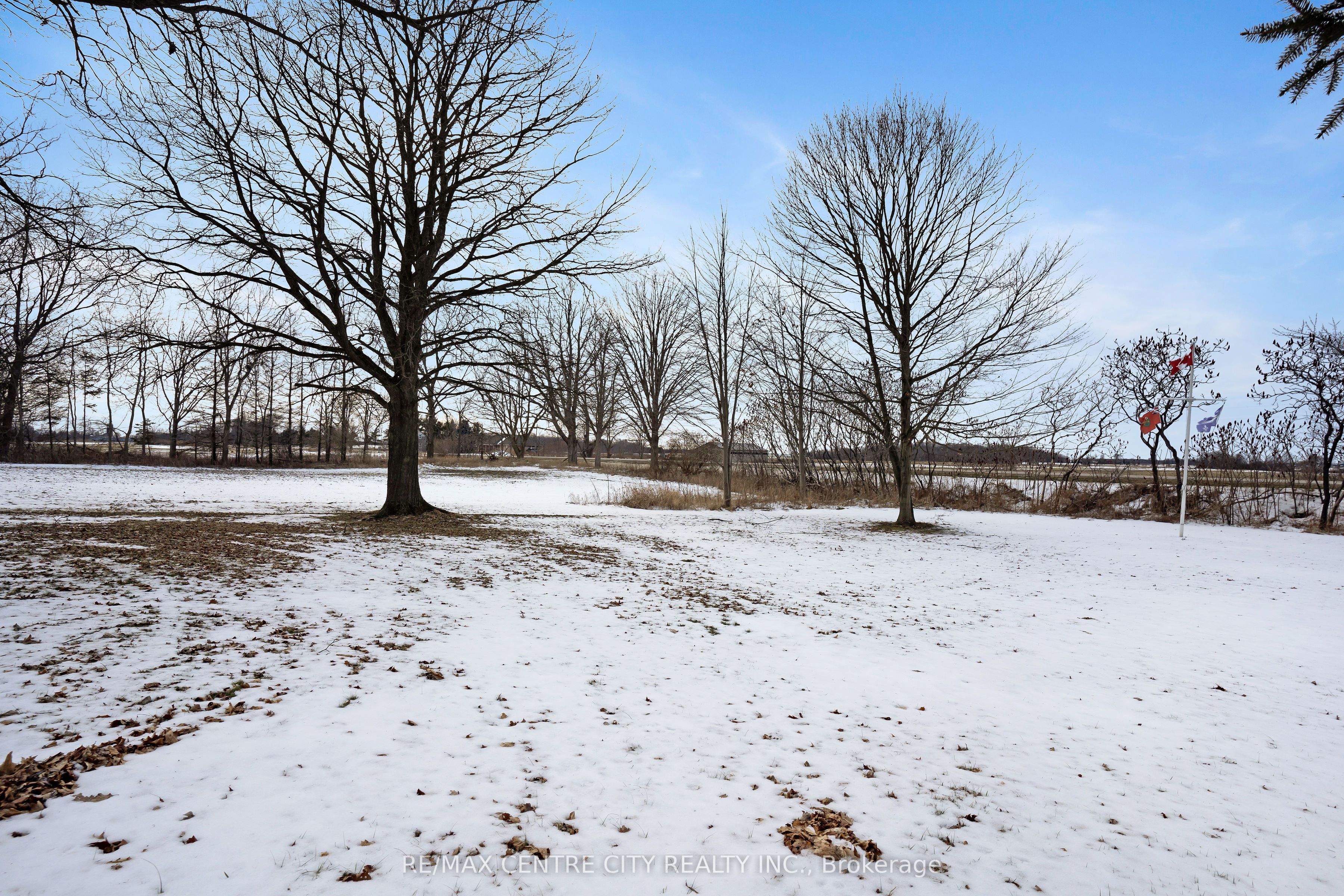 33875 Fifth Line Property Photo 13