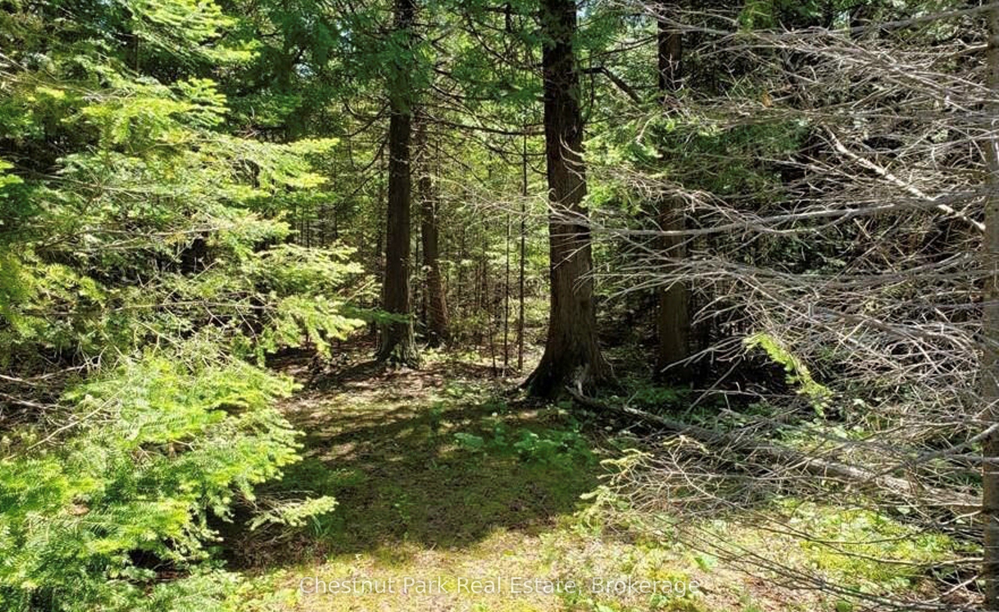 205 East Road Property Photo 2