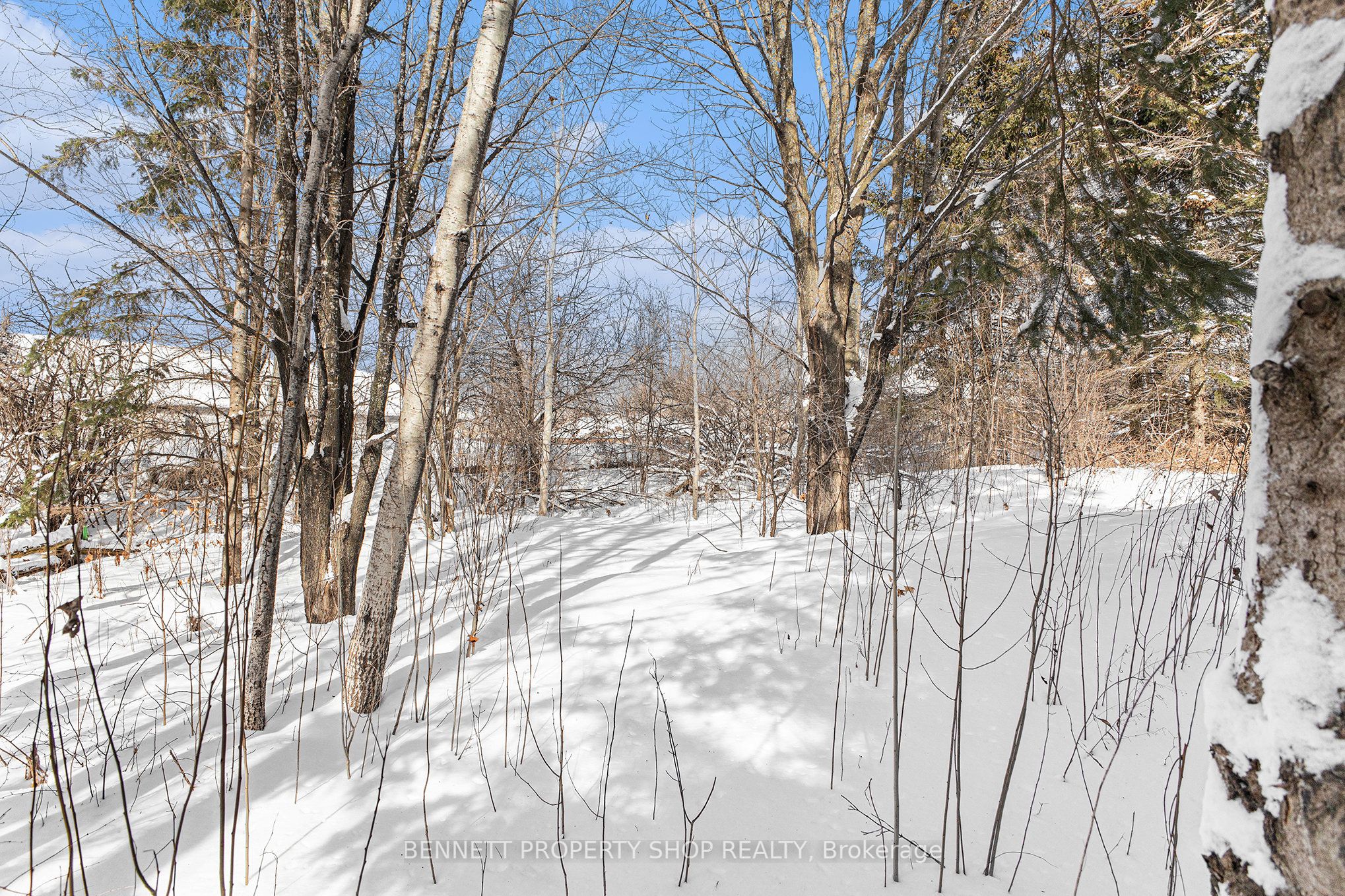 160 Juanita Avenue Property Photo 6