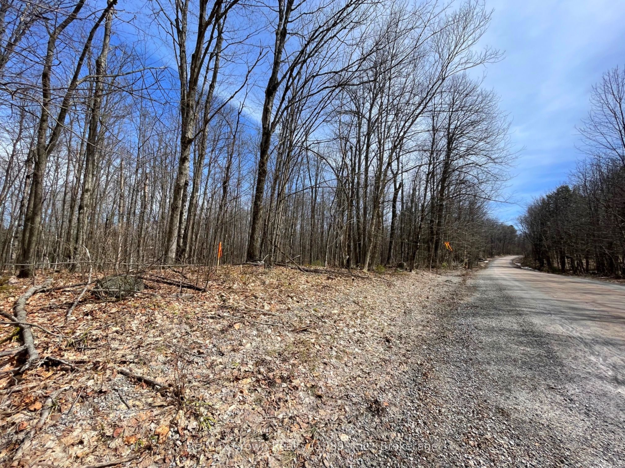 0b Pilgers Road Property Photo 13