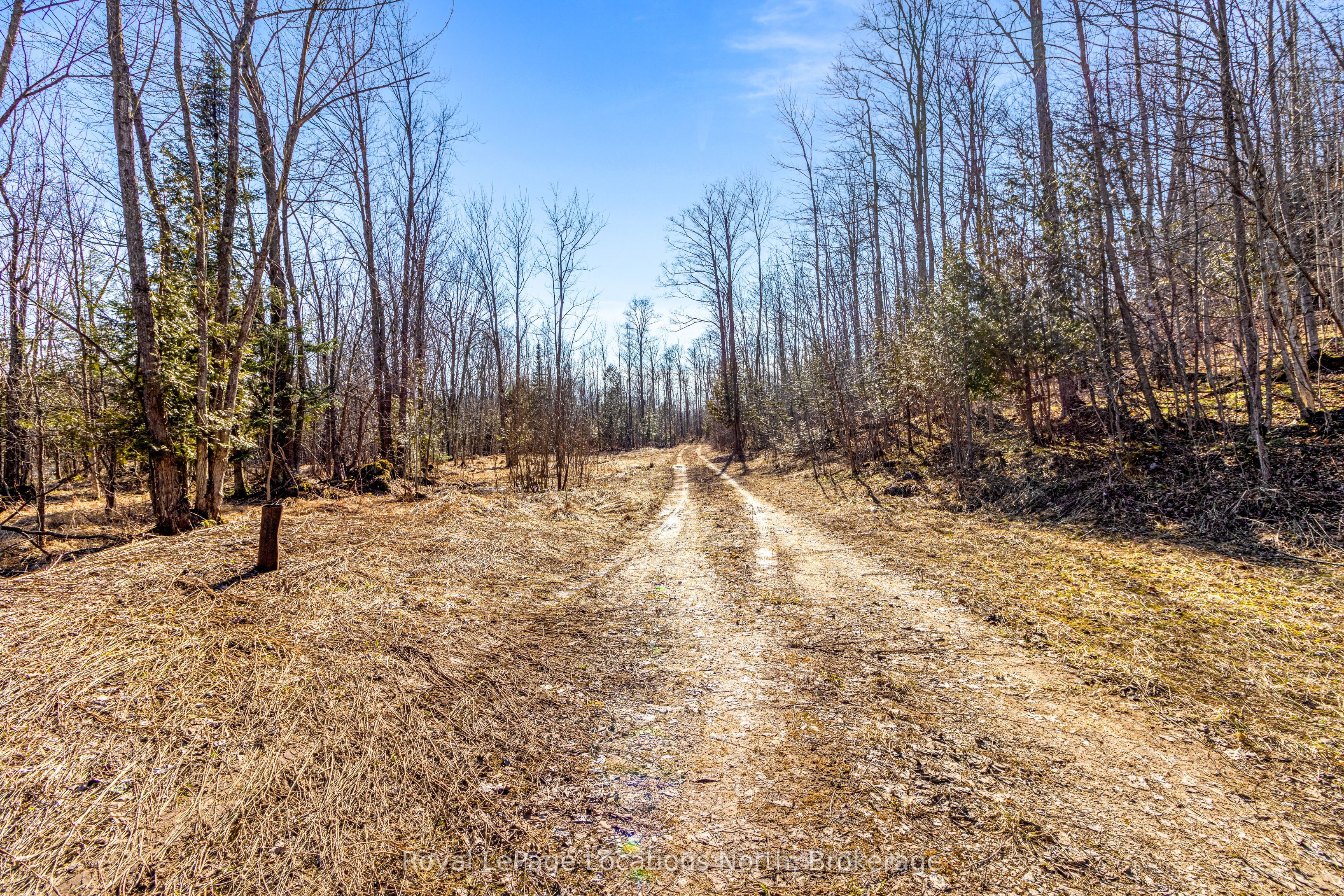 825141 Grey Road 40 Road Property Photo 5