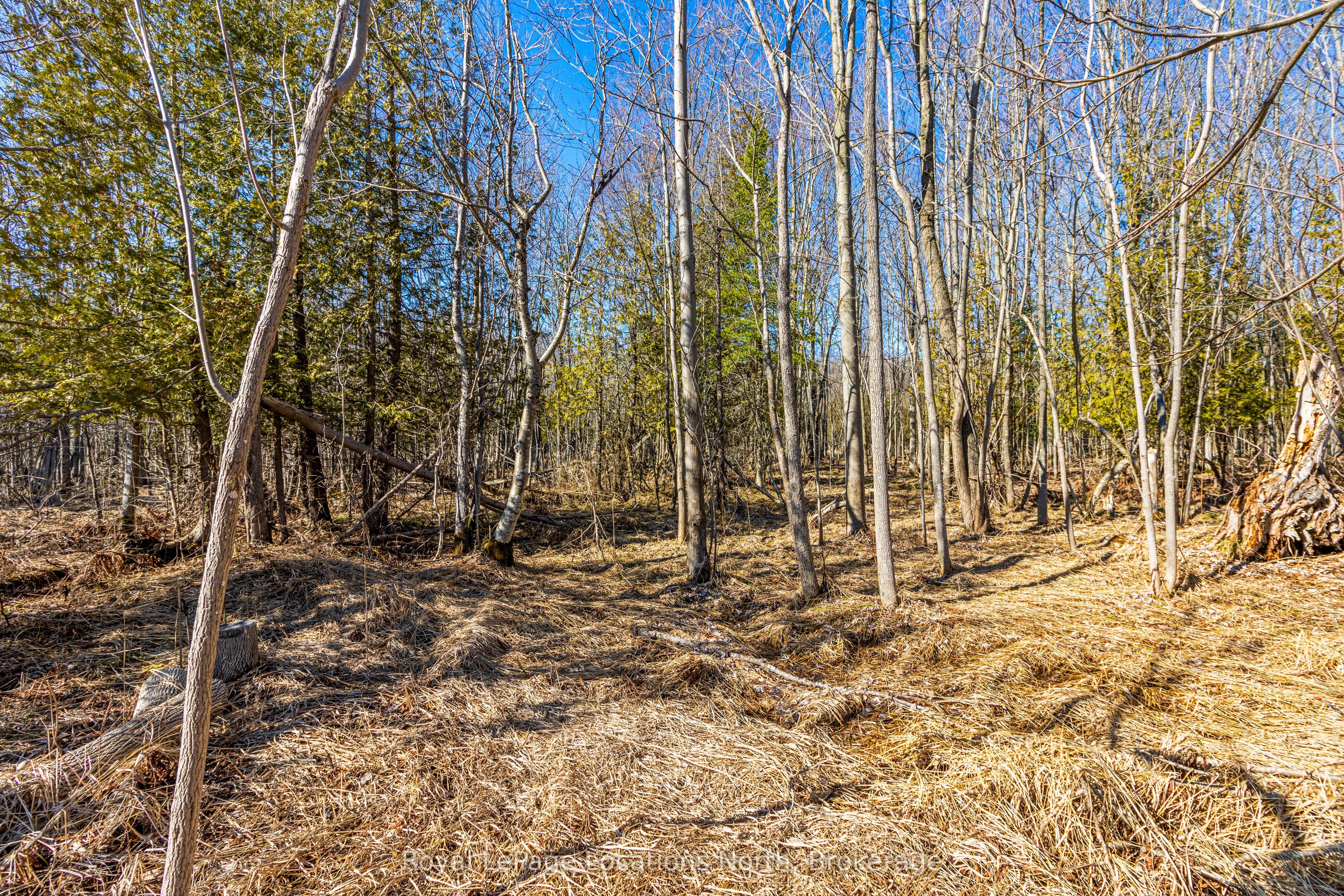 825141 Grey Road 40 Road Property Photo 7