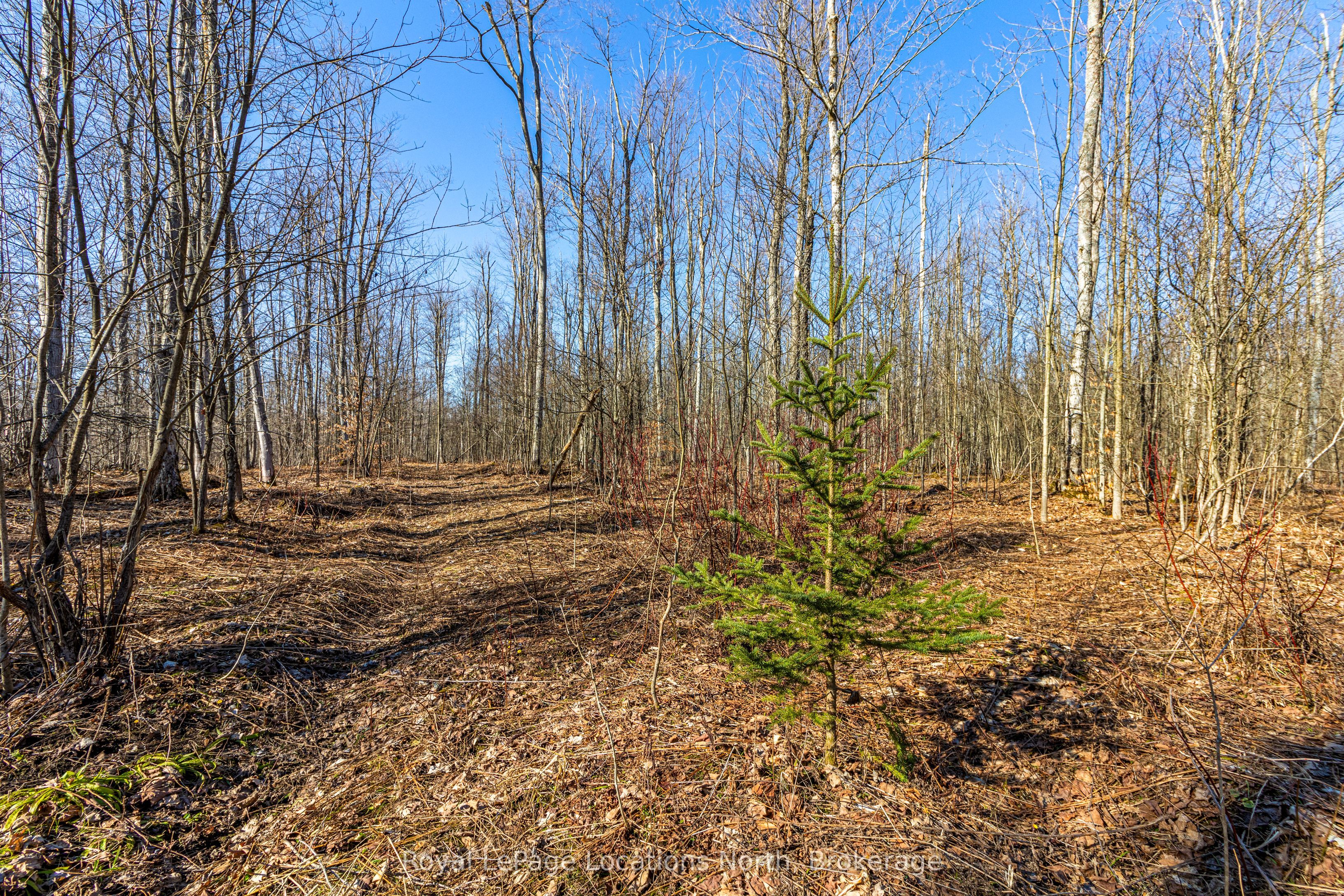 825141 Grey Road 40 Road Property Photo 18