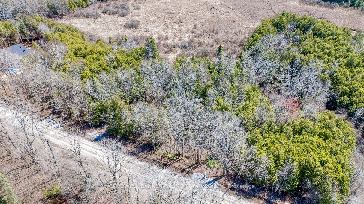 279 Brown Road Property Photo 6