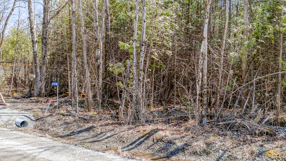 279 Brown Road Property Photo 12