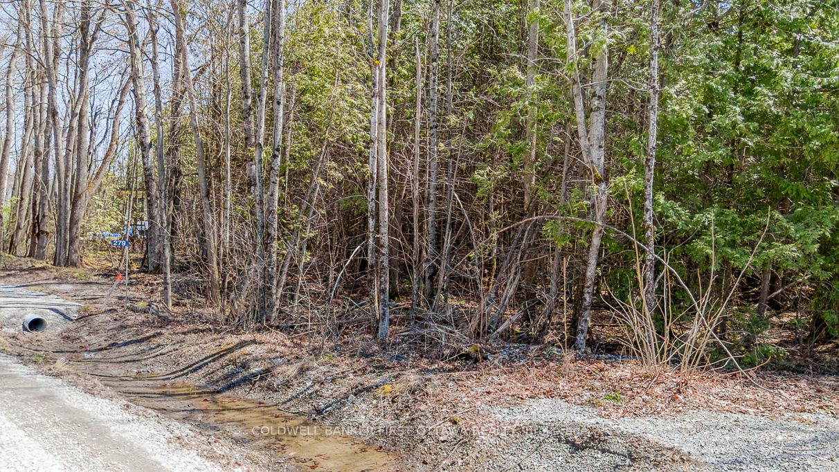 279 Brown Road Property Photo 13